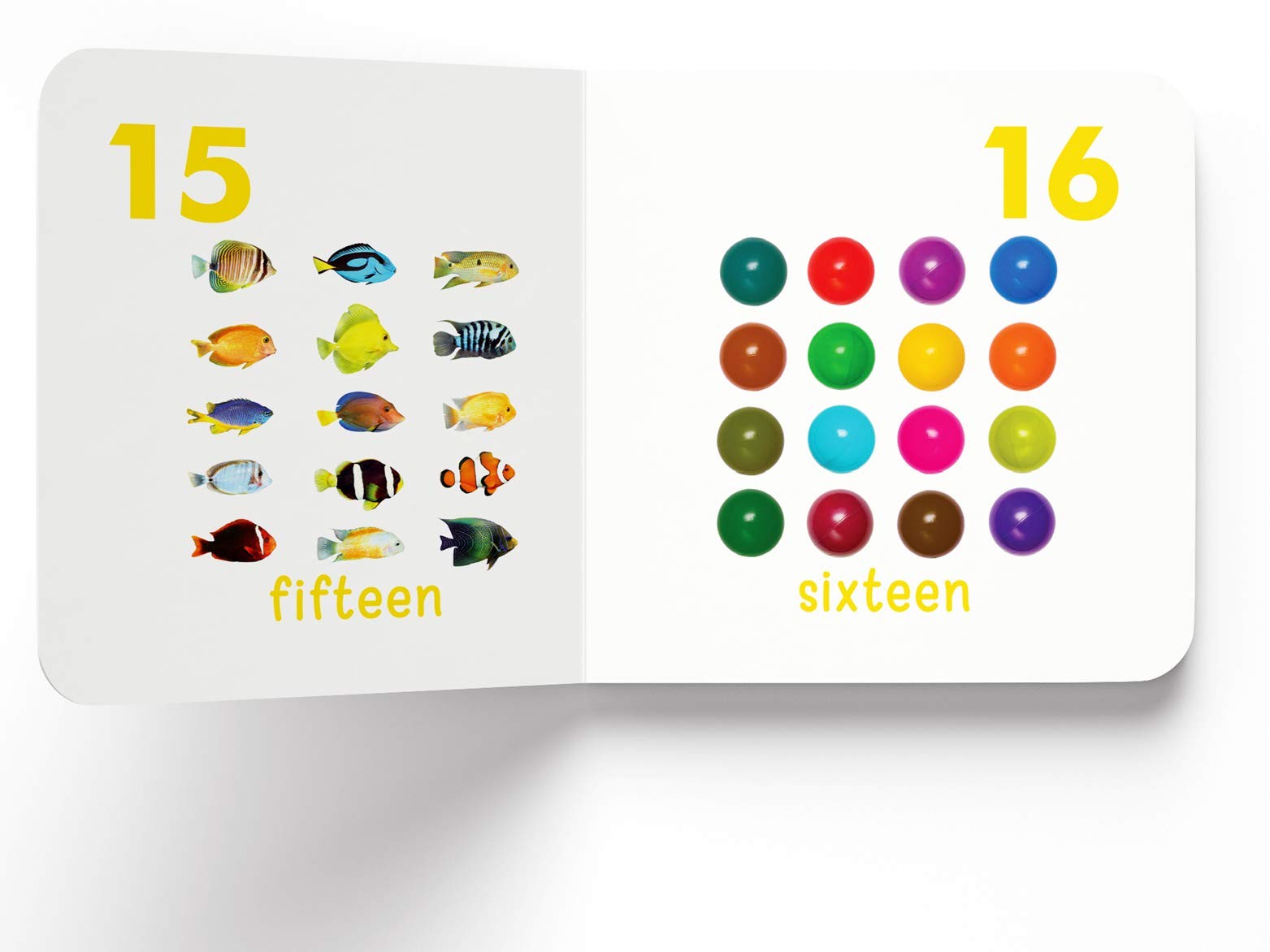 My First Book of Numbers: Board White