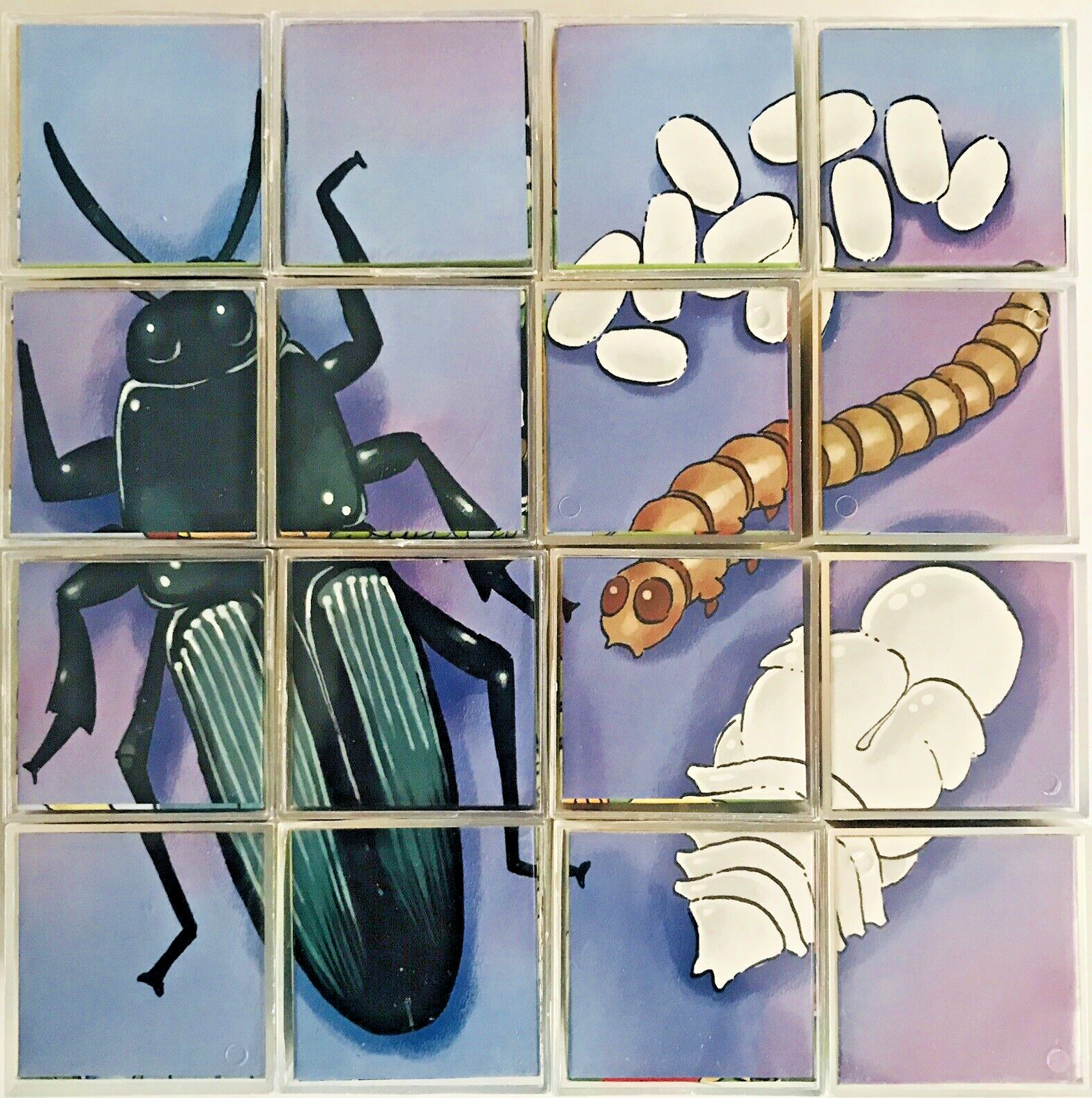 6 Bug Puzzles Insect Lore 16 Plastic Six-Sided Cubes with Instructions