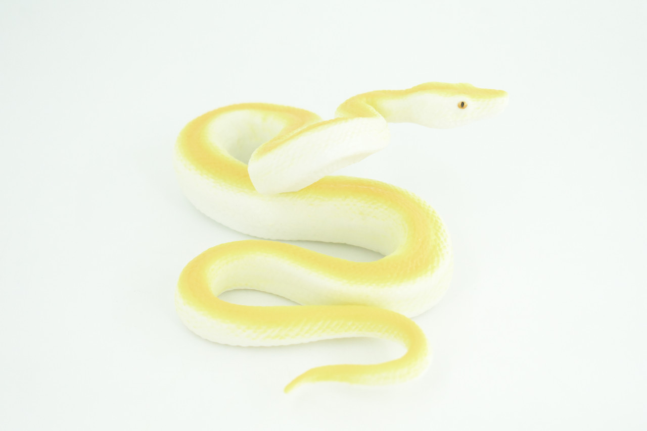 Burmese Python Life Cycle, 4 Piece Set, Hand Painted Rubber Snake 6″ CH886 BB201
