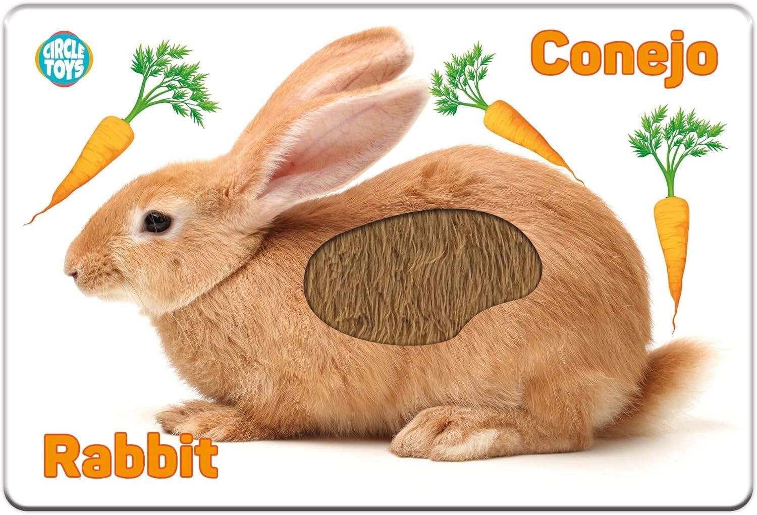 Touch and Feel English Spanish Bilingual Picture Toddler Kids Sensory Flash Card