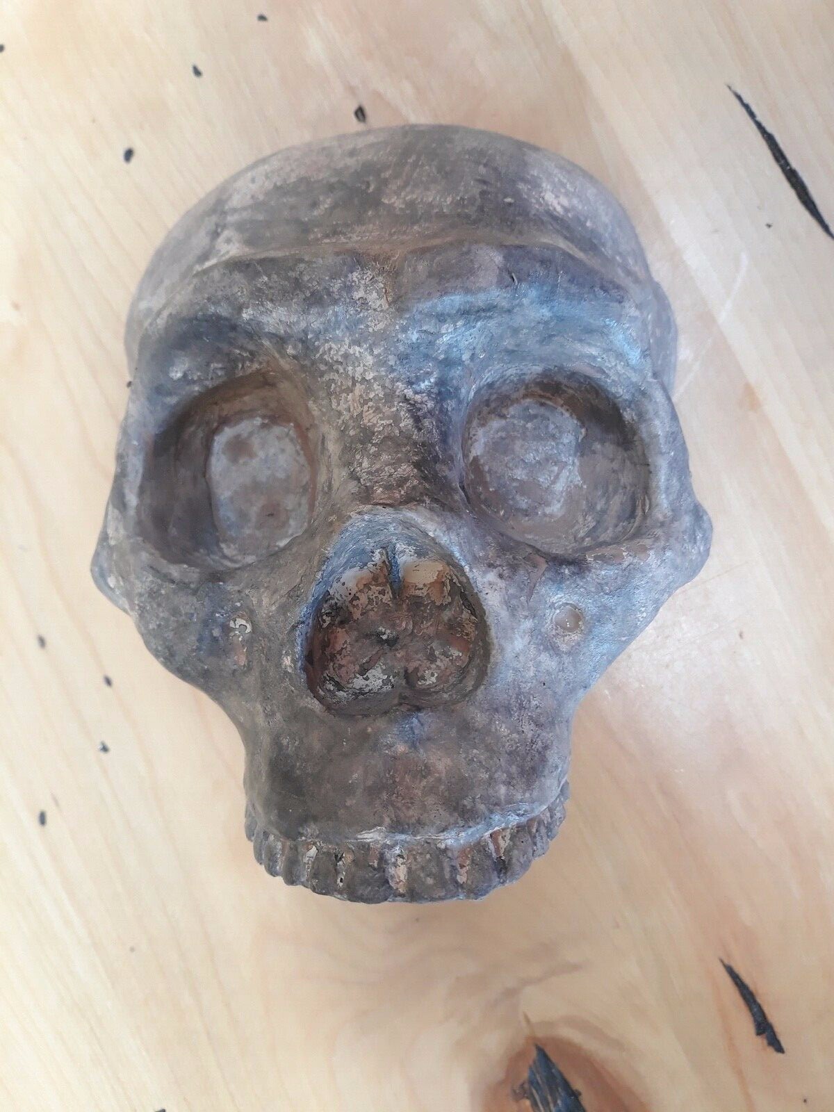 Neanderthal Skull Full Scale Sized Wall Art
