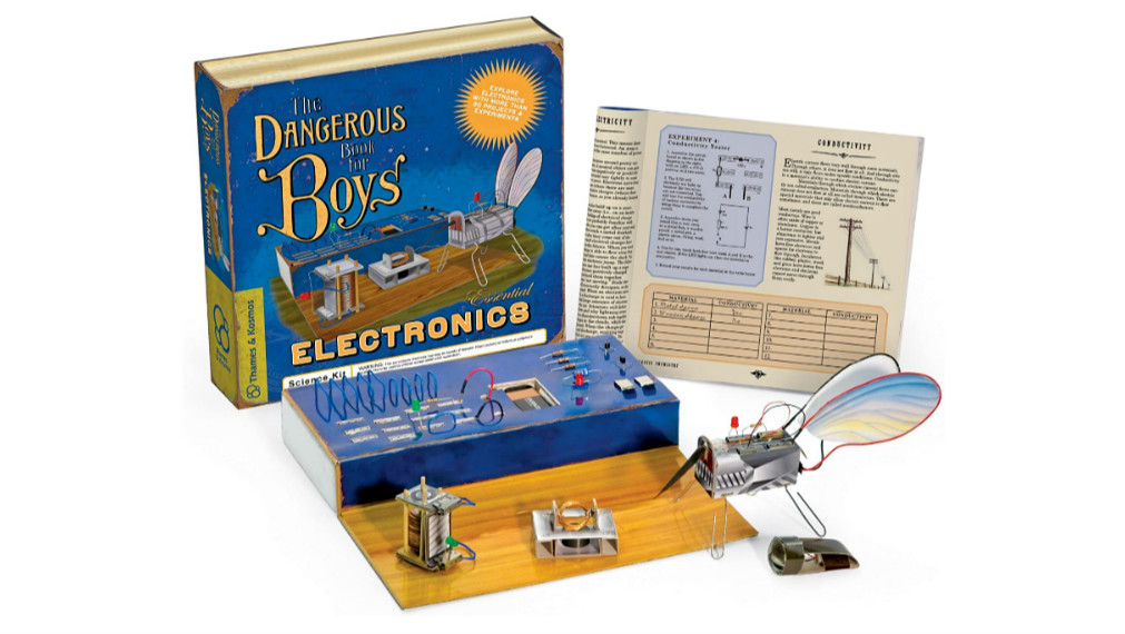 Thames & Kosmos 600002 The Dangerous Book for Boys Essential Electronics