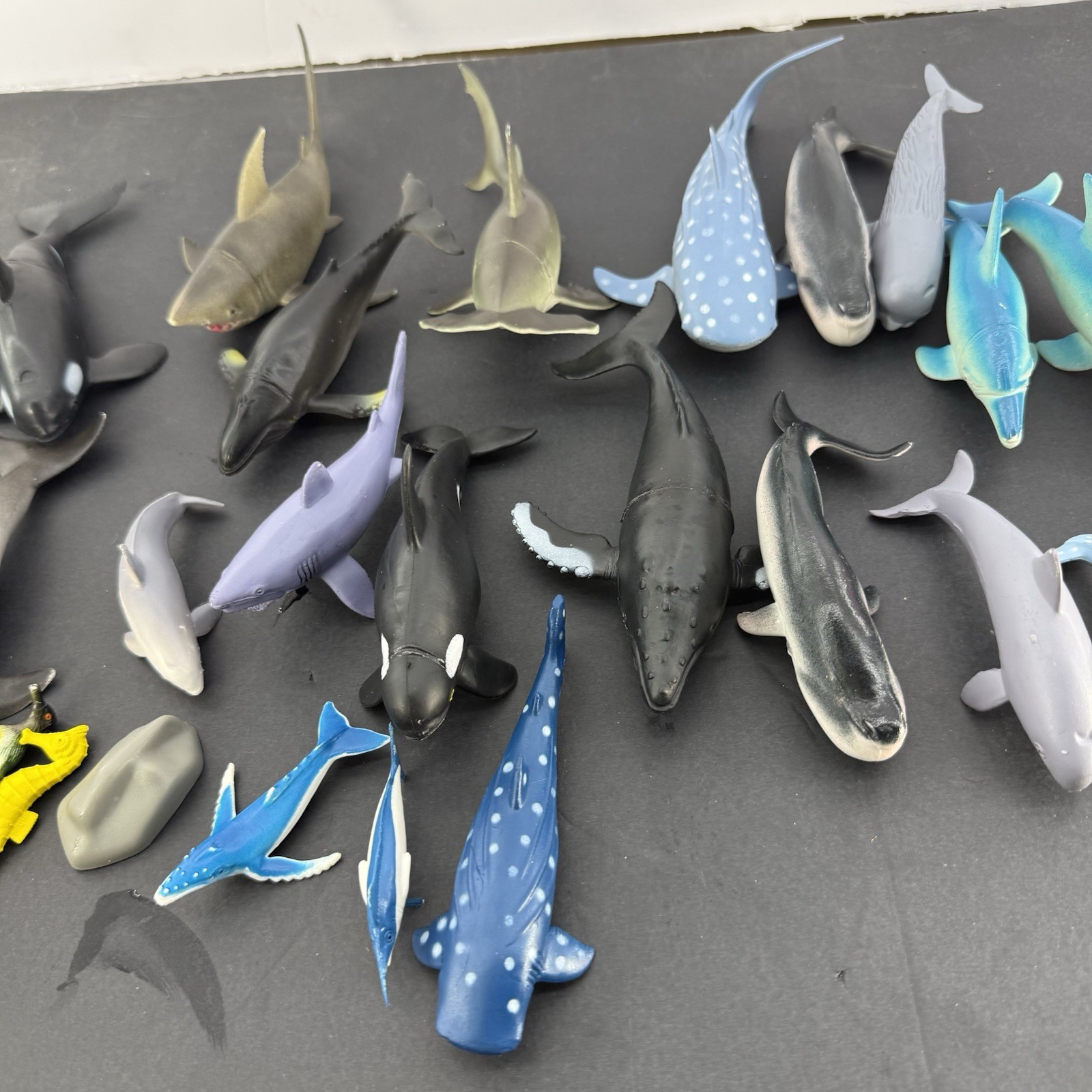 Animal Planet Ocean Collection 13 & More Pieces Sharks & More Toys R Us