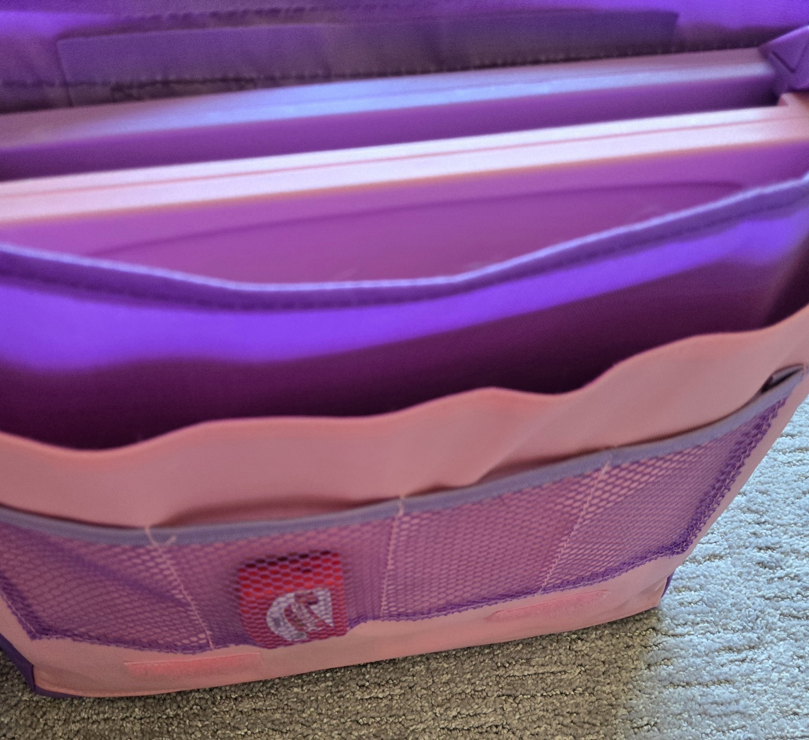 Leapfrog LeapPad Learning 2001 System W/Carry Bag Plus Five Books With Cartridge