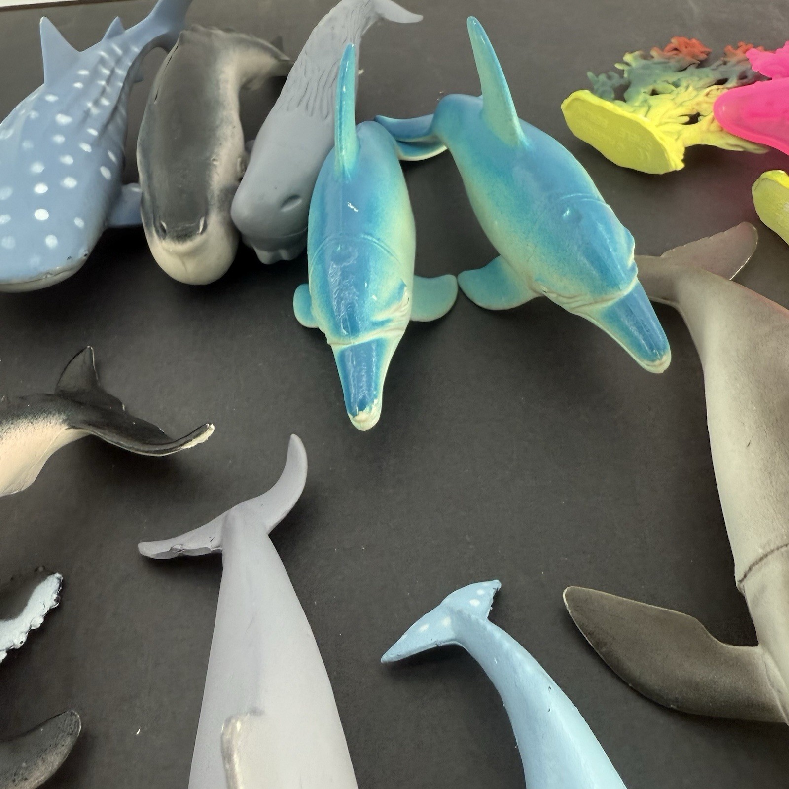 Animal Planet Ocean Collection 13 & More Pieces Sharks & More Toys R Us