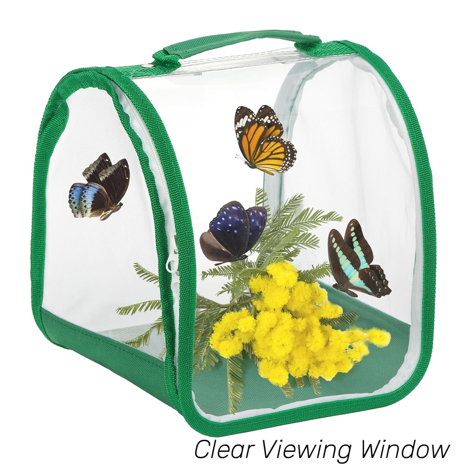 2 Pack Monarch Butterfly Collapsible Insect Mesh Cage Habitat Small 8 Inch Cage