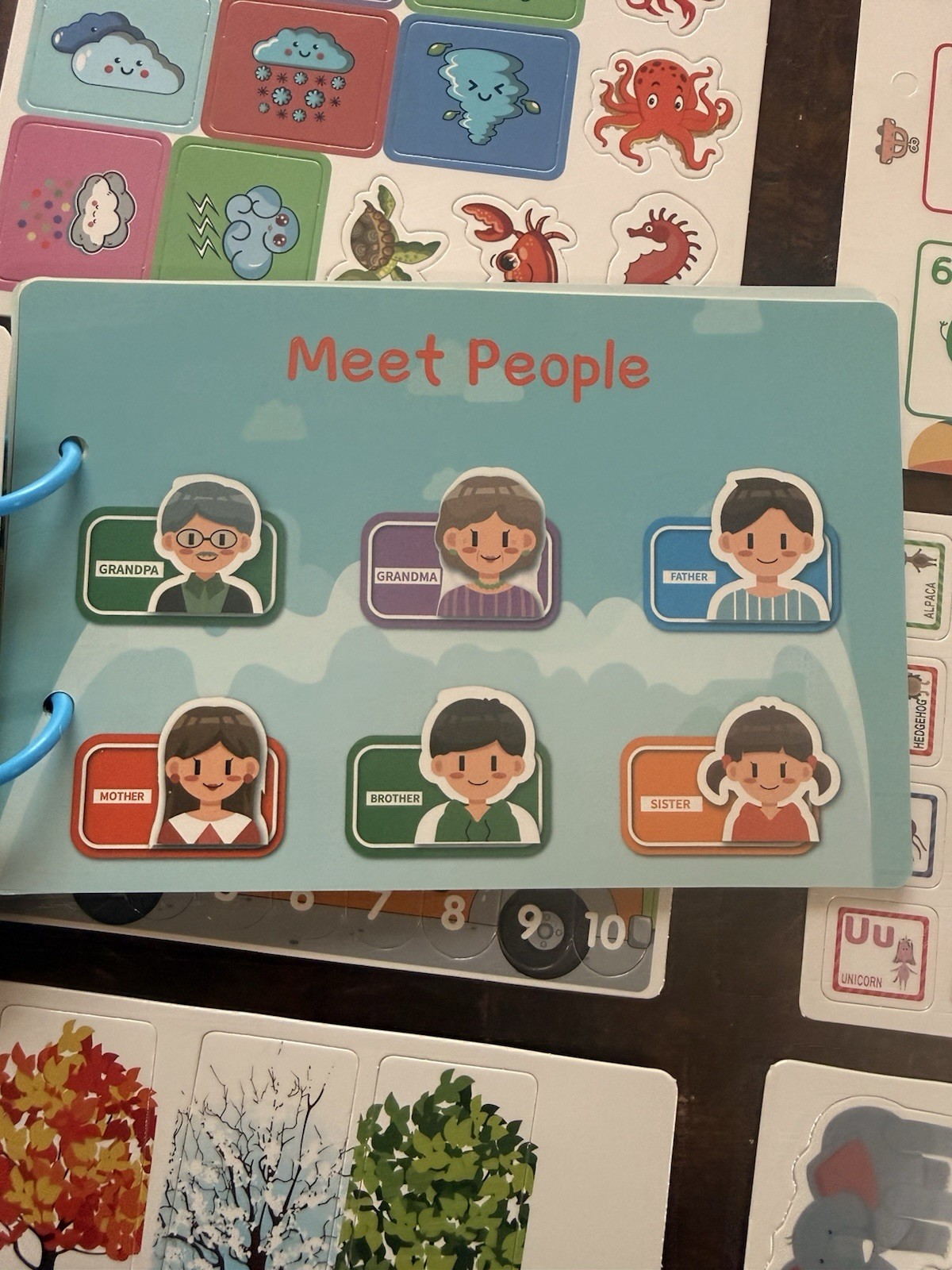 Montessori Preschool Learning Board Set