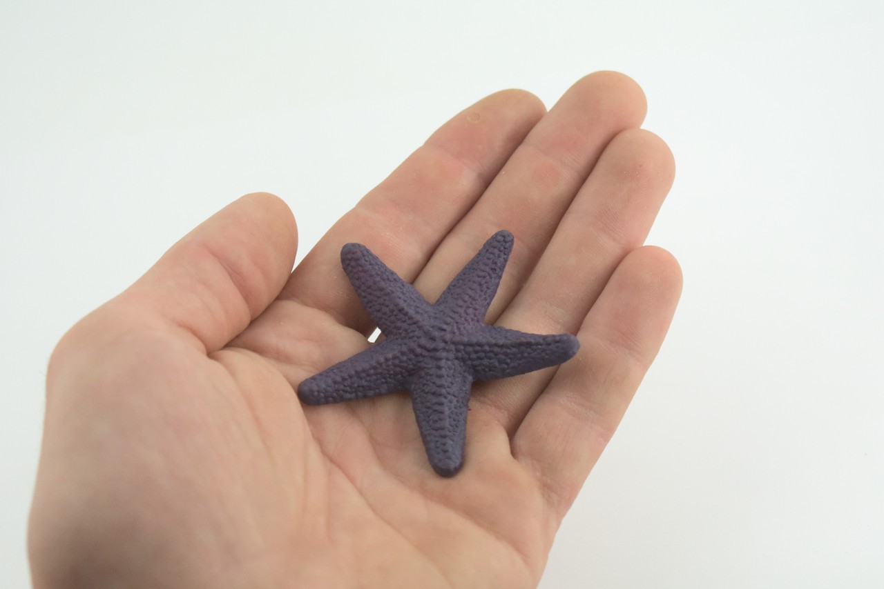 Toy Starfish, Purple, Sea Star, Realistic, Model, Gift, 2 1/2 Inches CWG49 B197
