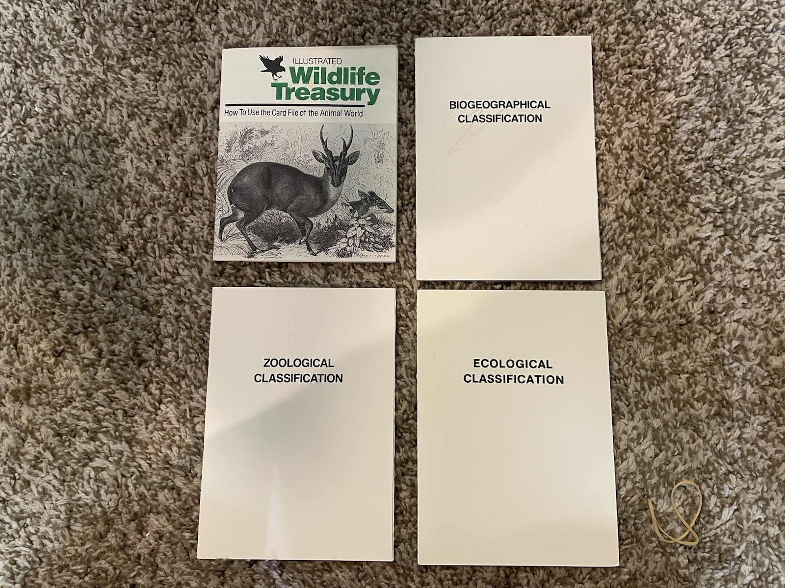 VINTAGE 70s Illustrated Wildlife Treasury 780+ Animal Fact Cards in Case