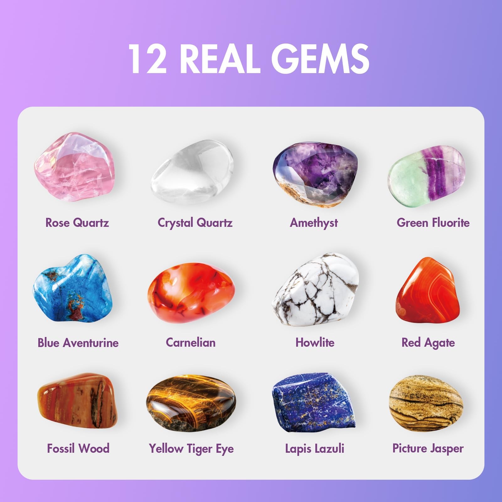 Gemstone Dig Kit, Dig Up 12 Real Rocks and Minerals, Gem Digging Kit, Toy Geo…