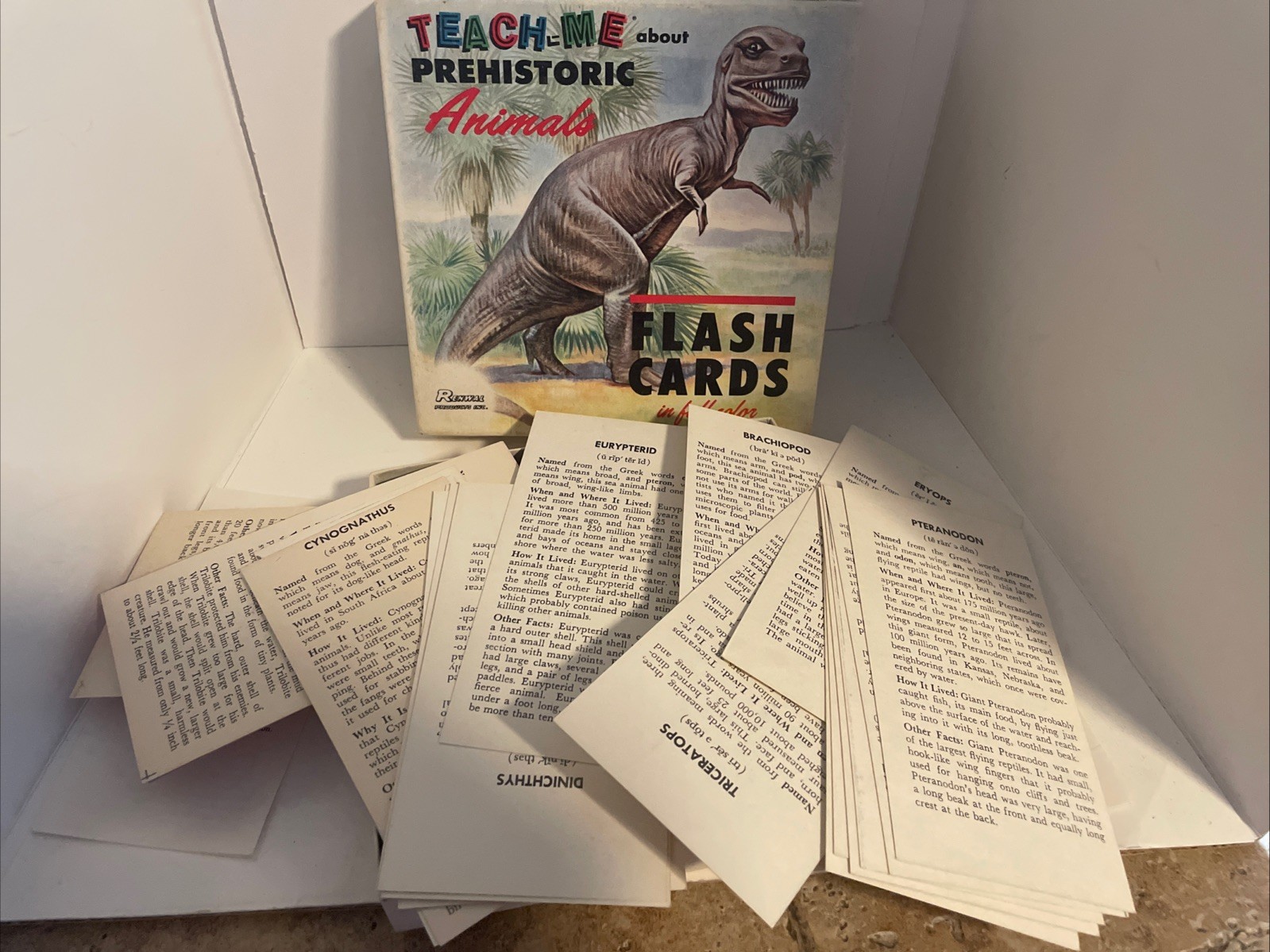Vintage 1968 Teach Me Prehistoric Animals Flash Cards Dinosaurs 48 Cards