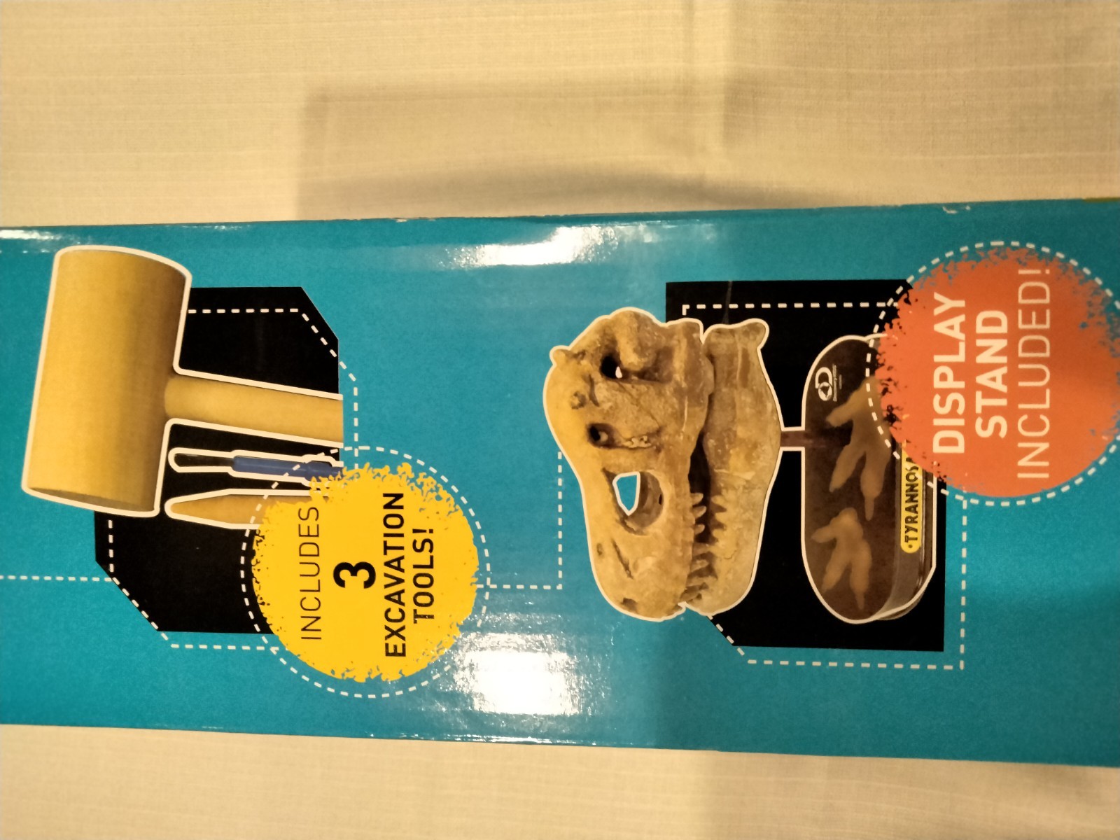 Discovery Dinosaur Skull Dig Tyrannosaurus with Display Stand & Poster