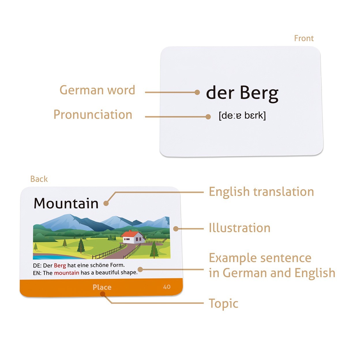 German Vocabulary Educational Flashcards for Beginners