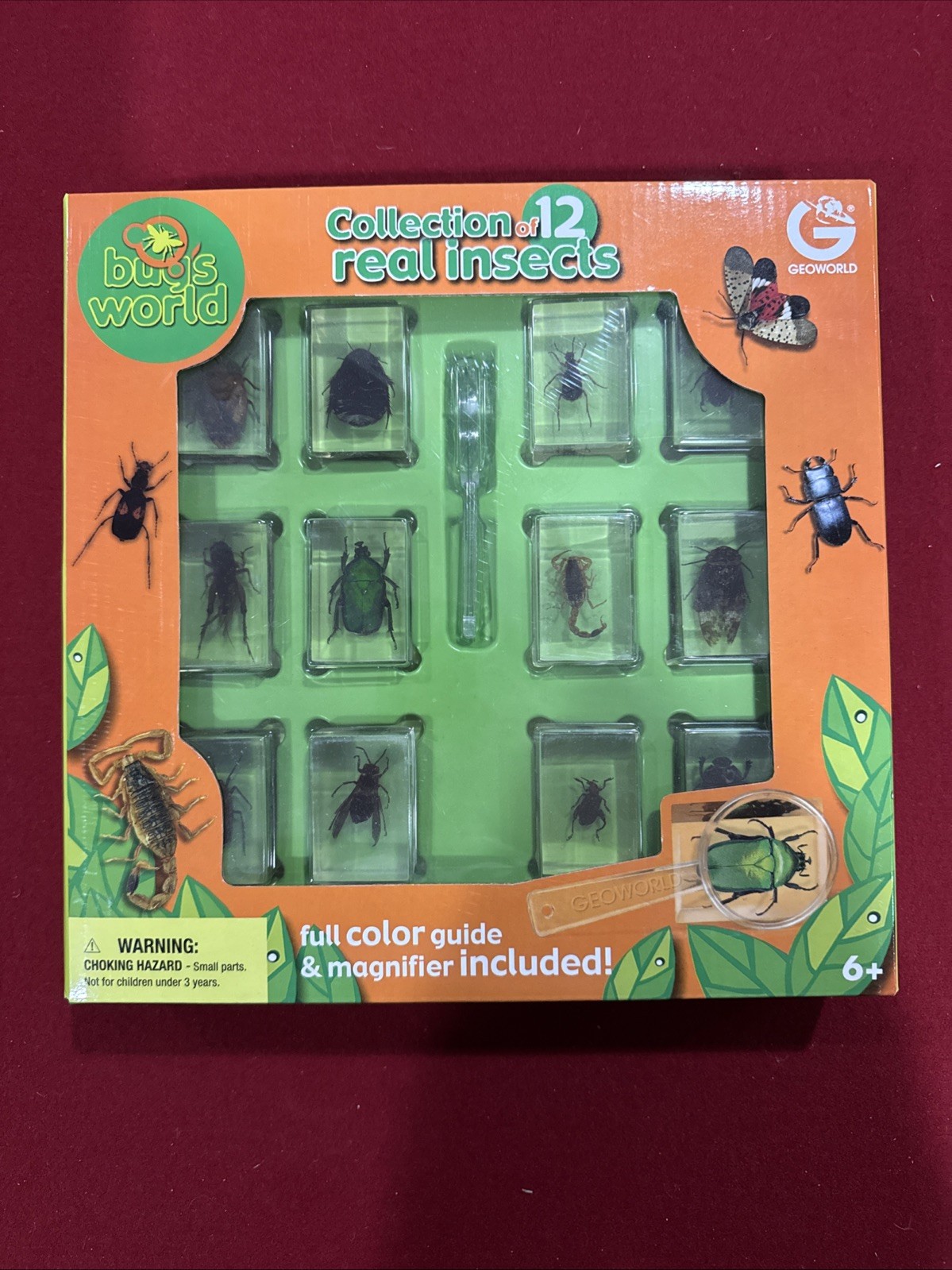 Geoworld Bugs World Collection Of 10 Real Insects age 6+ science-NEW Box Damage