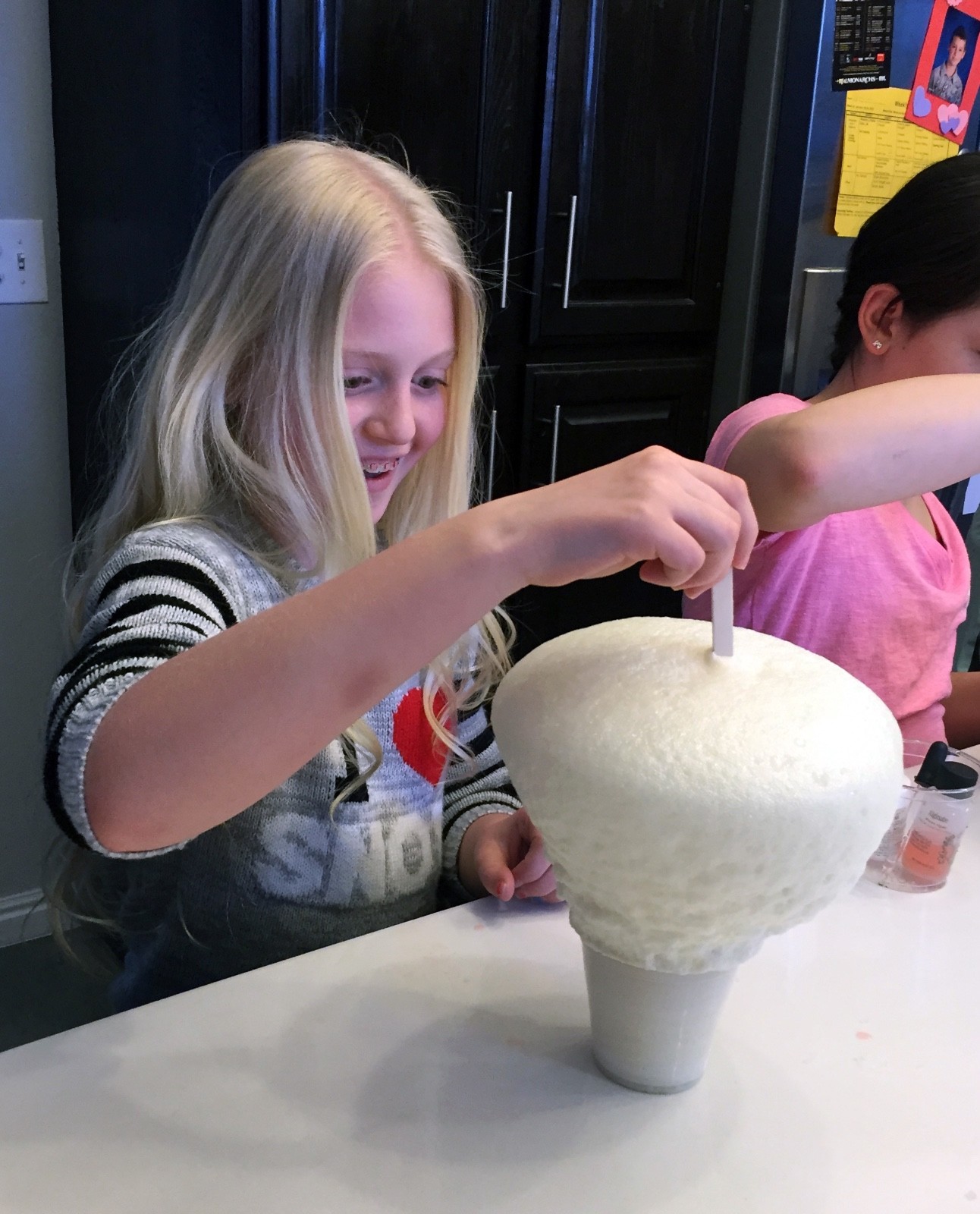 Foam Gnomes • Hands-on, Chemistry Experiment • 2-4 kids
