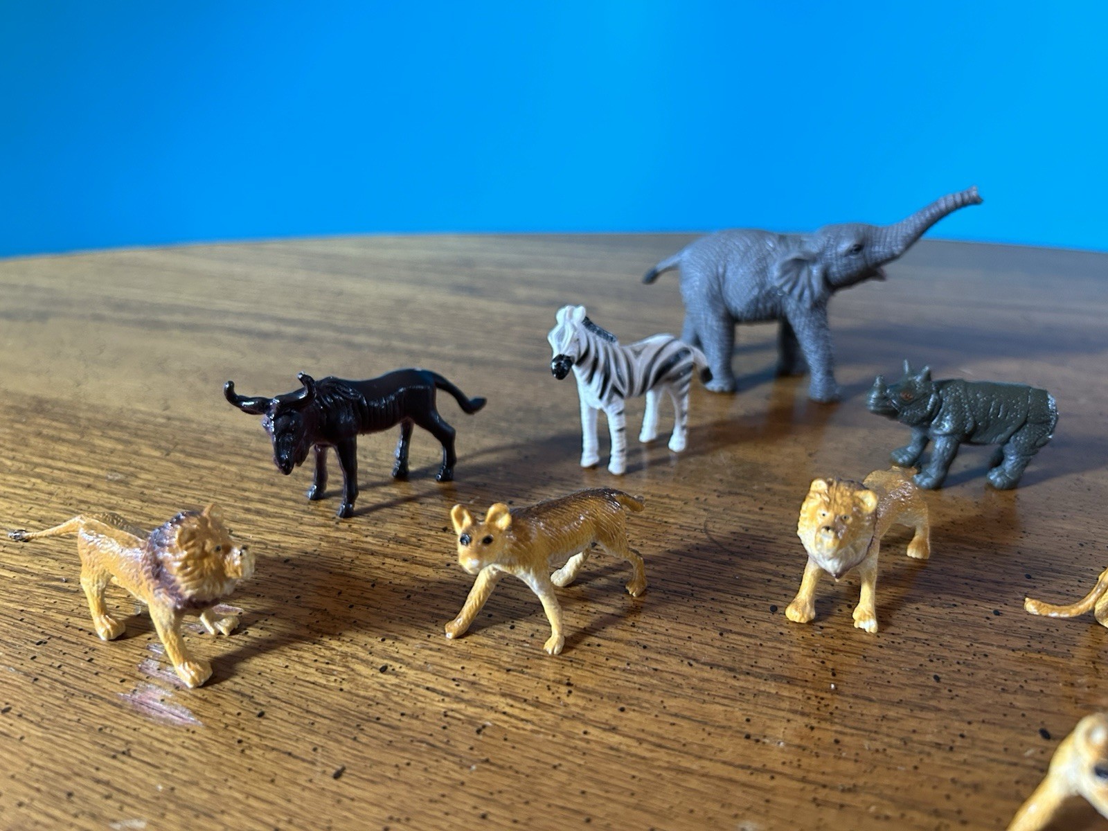 Thirteen Rubberized Plastic Safari Animal Figurines