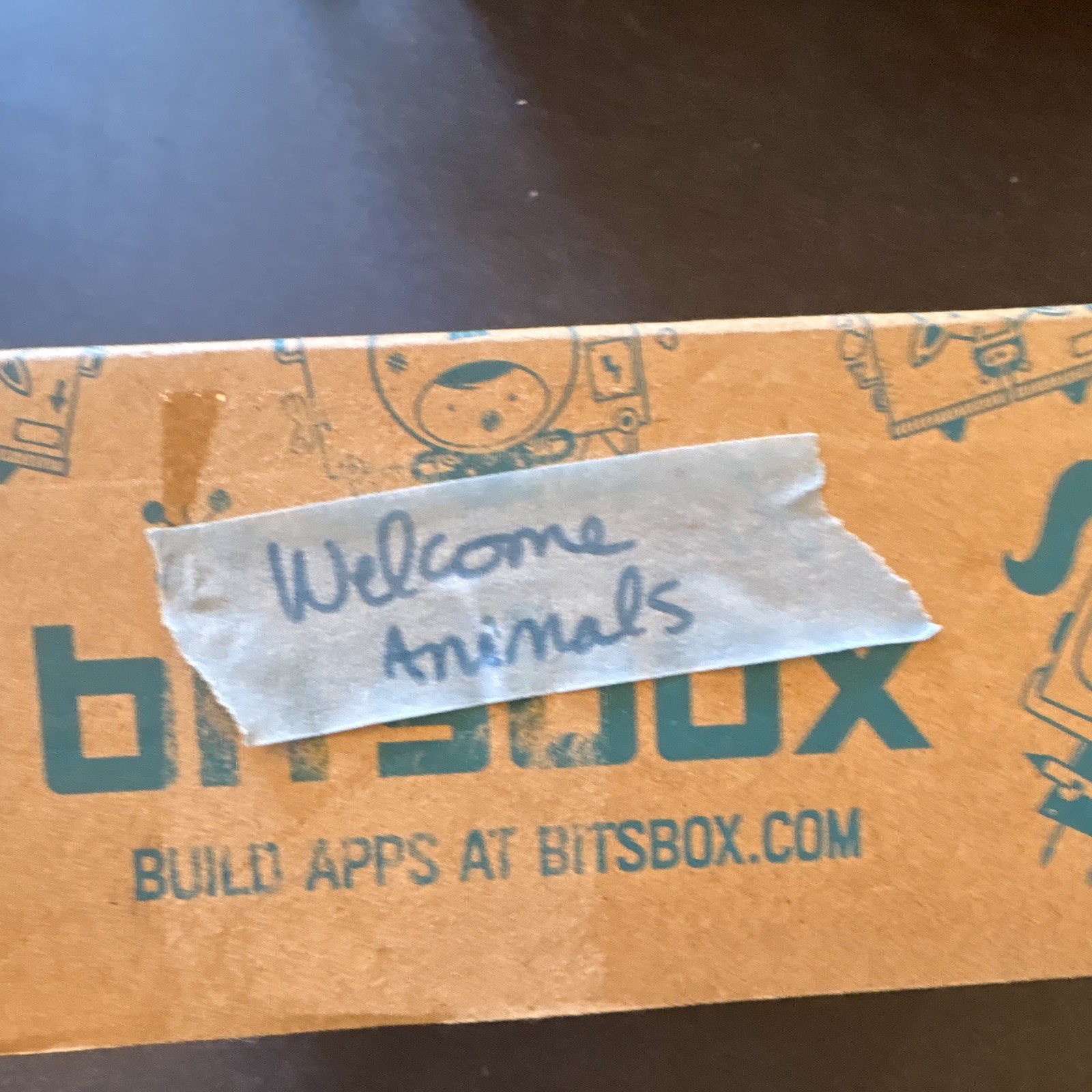 Bitsbox Coding Subscription Box Animal House Edition w/ Guides