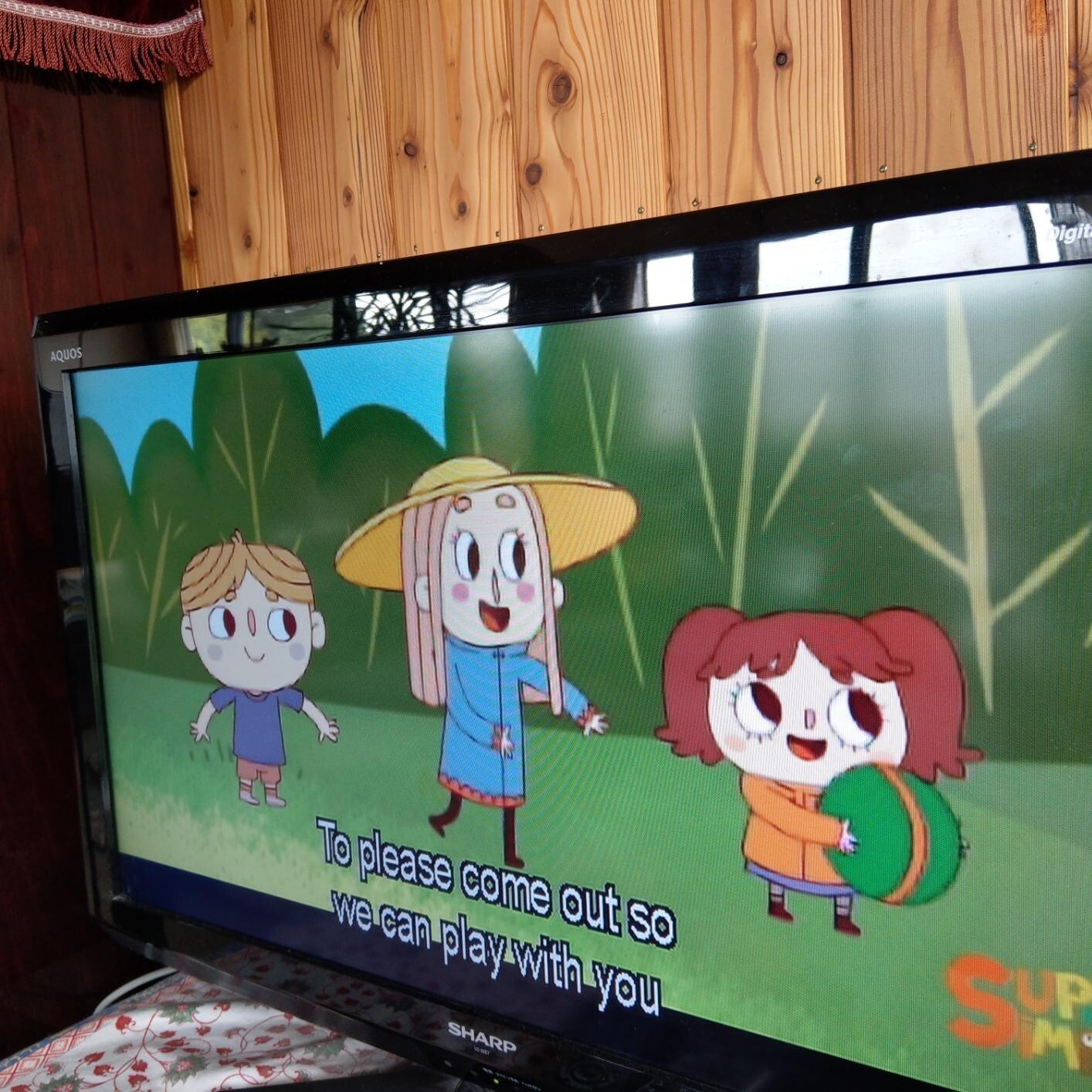 Super Simple Learning Songs DVD 4 Disc Set Kids English Education Fun From JAPAN