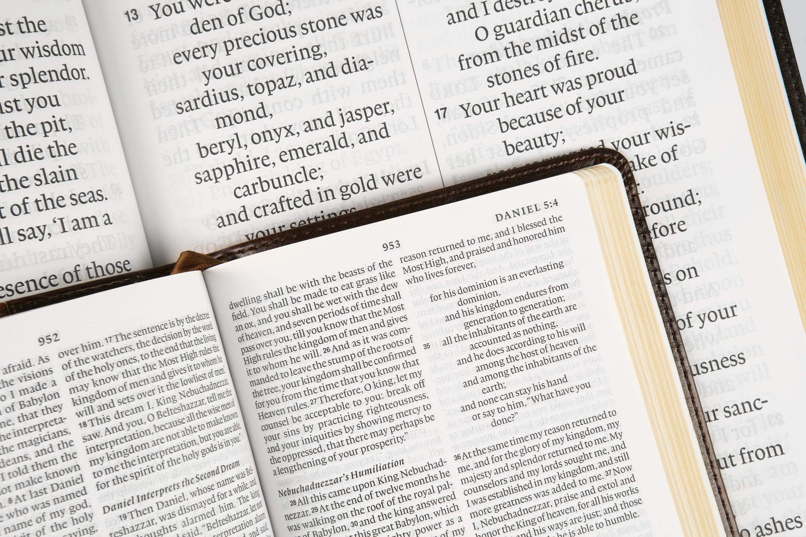ESV Super Giant Print Bible (TruTone, Burgundy) – Easy Read, Large 17-pt Type