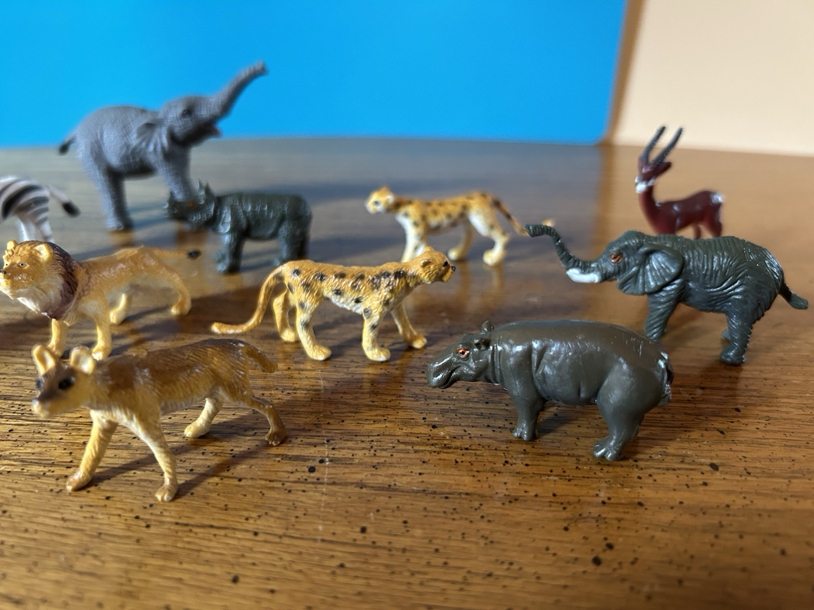 Thirteen Rubberized Plastic Safari Animal Figurines