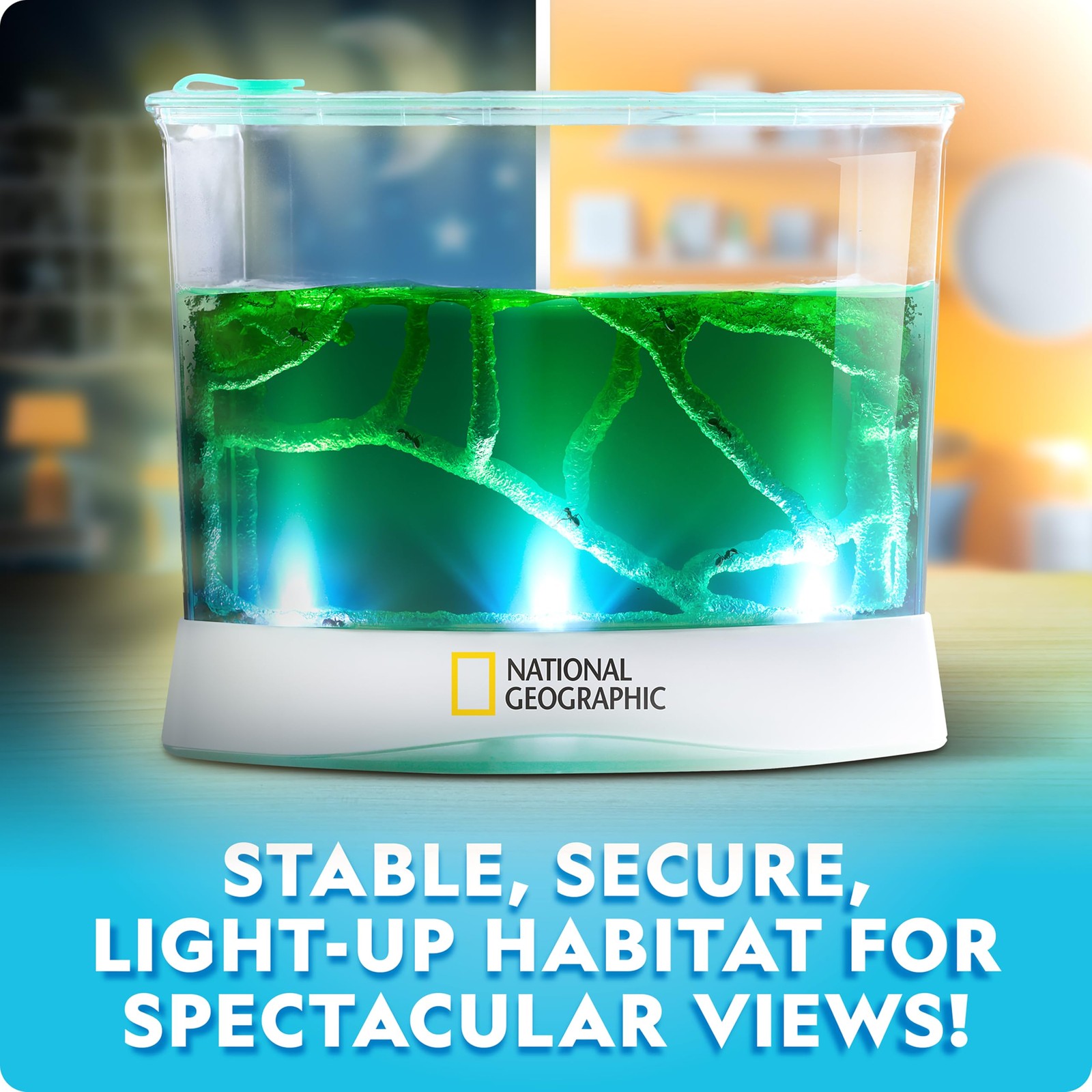 National Geographic Ant Habitat Kit – Light-Up One Size, Multicolor