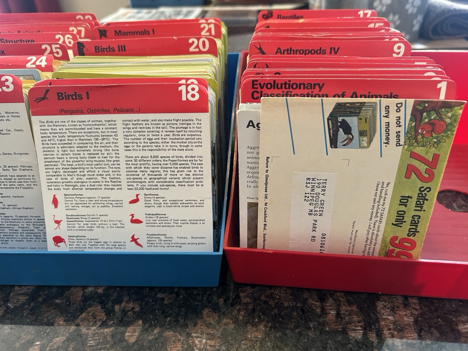 Safari Cards Educational Classification Of Animals Box Set 1975 Rencontre 1500+