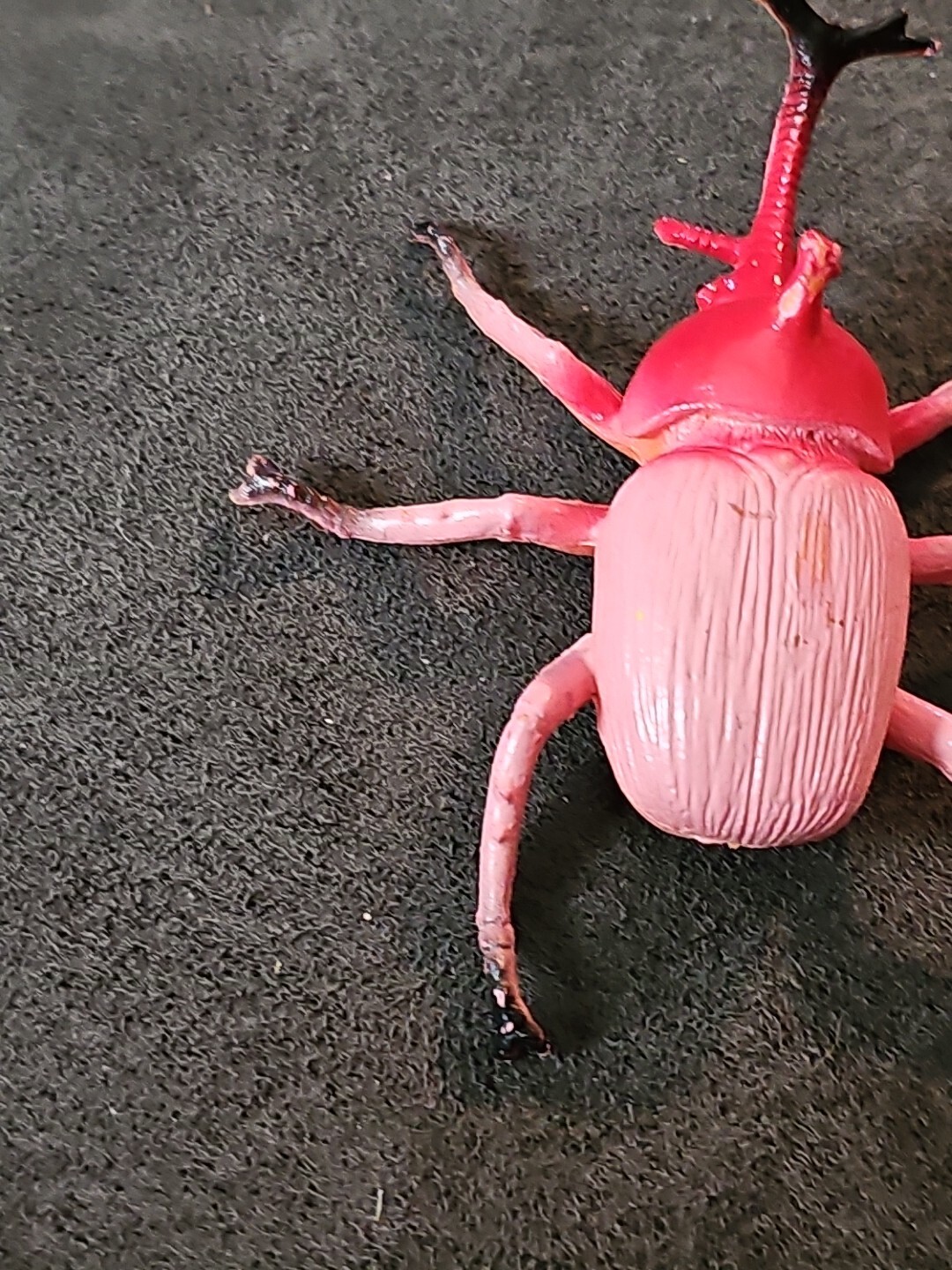 Creepy Crawley Bug Red/ Pink 3 In x2.5 x1