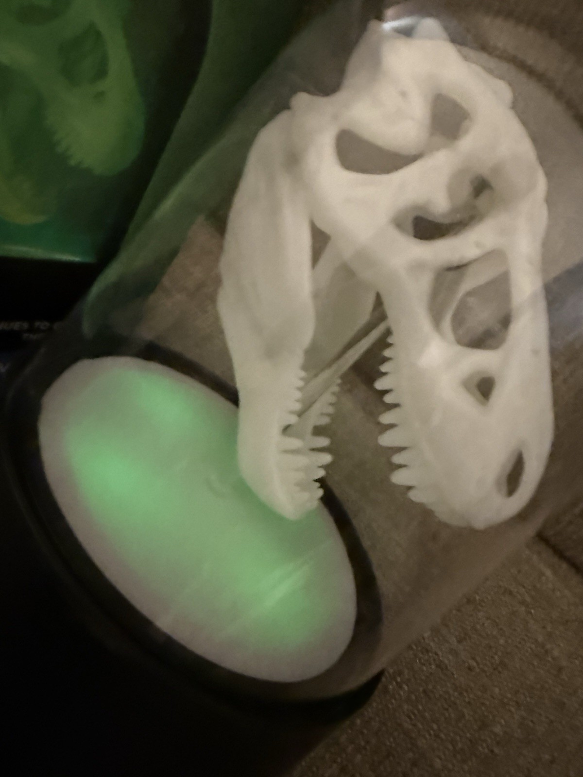 Discovery Channel Glow in the dark T-Rex skull Toys Night Light Dinosaur Dino
