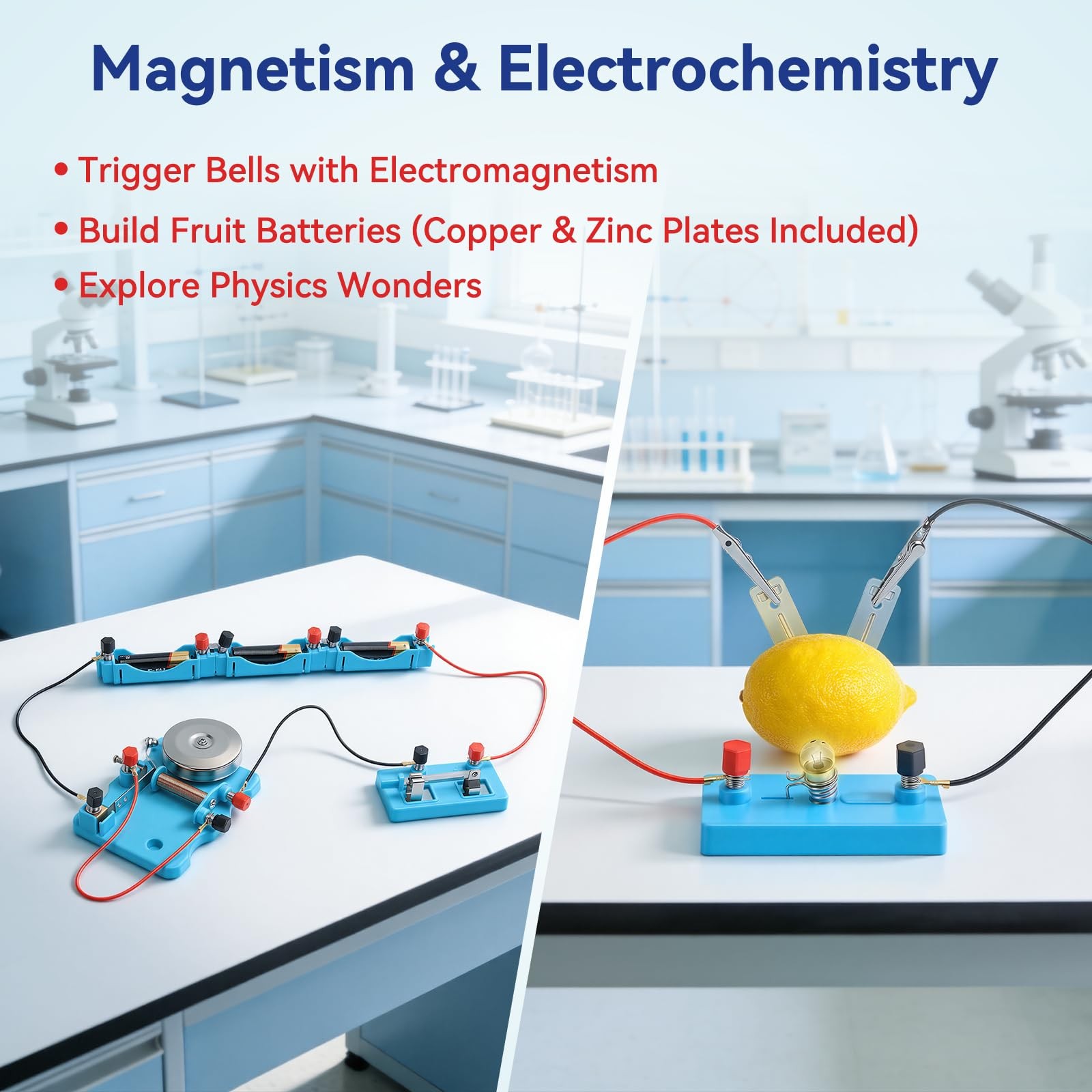 Science Magnet Kit for Students with Bar/Horseshoe/U Shaped/Iron Filings/Comp…