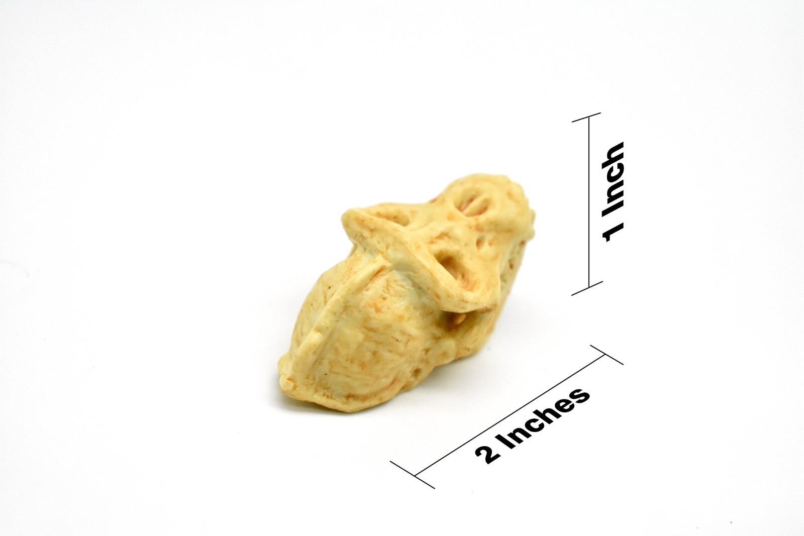 Gorilla Skull, Very Nice Plastic Reproduction 2 inches long F4123 B193