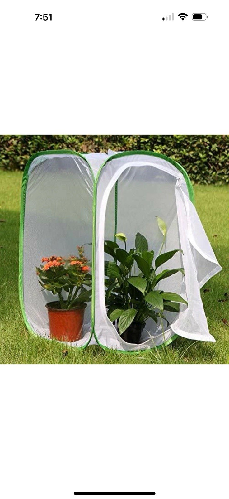 RESTCLOUD Insect and Butterfly Habitat Cage Terrarium Pop-up 23.6 Inches Tall