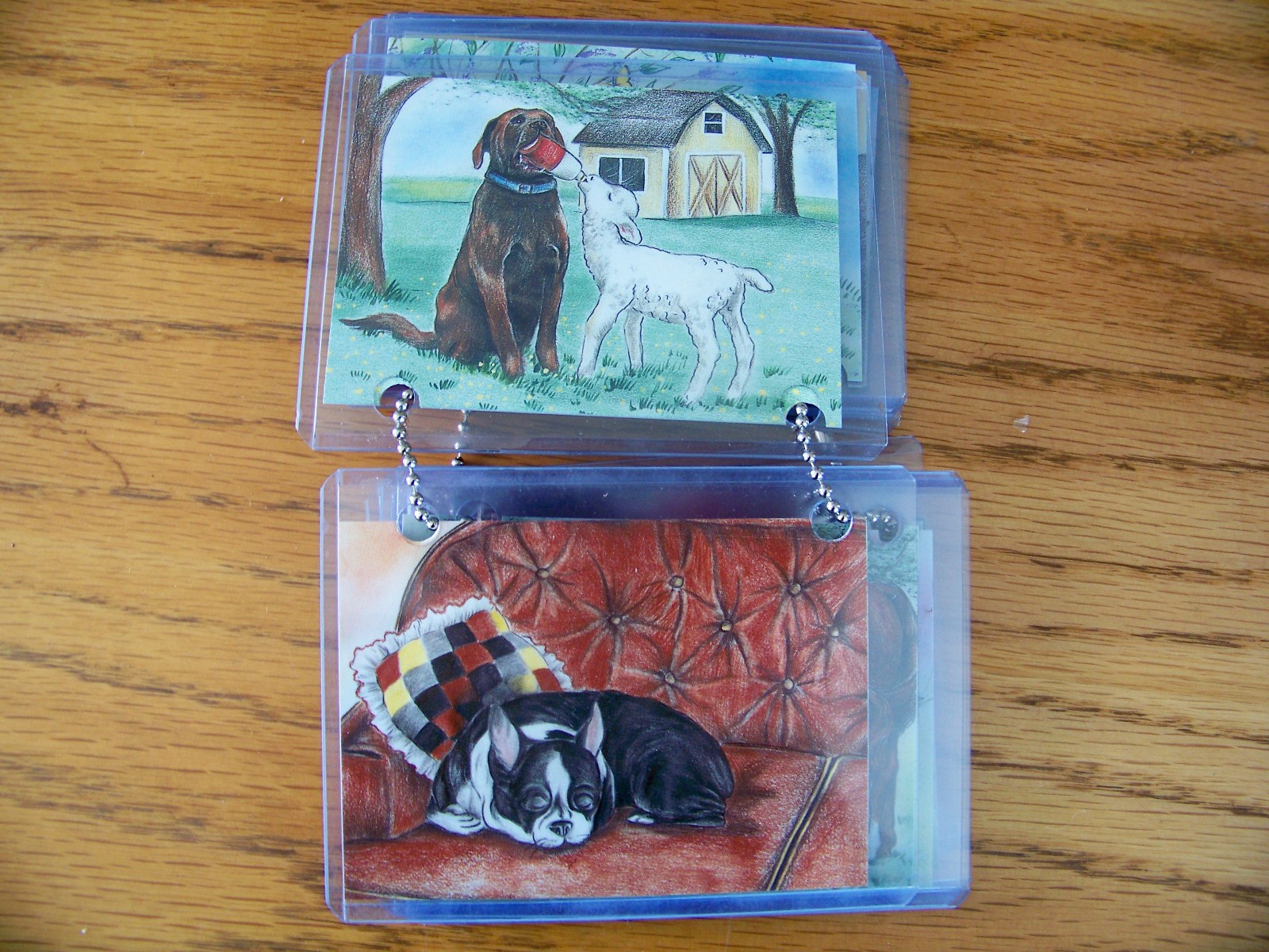 Children’s: Animals, Birds, Pet, Horse, Cats, Dog And Nature Cards In Plastic