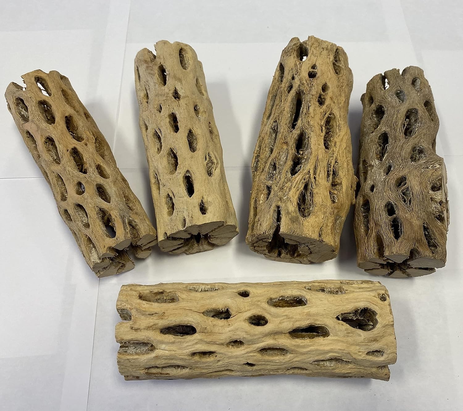 XL Cholla Wood Hollow Tube 6in x Up to 2in – Natural Aquarium & Terrarium Decor