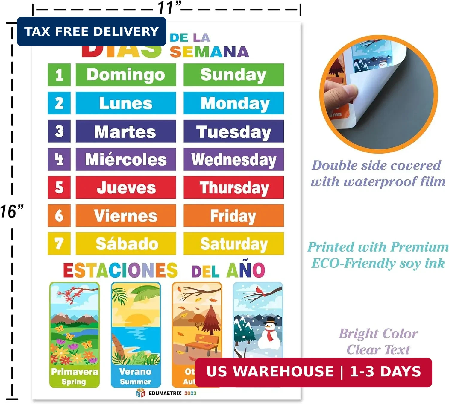 12 Spanish English Bilingual Educational Posters Water Proof Learning Chart for