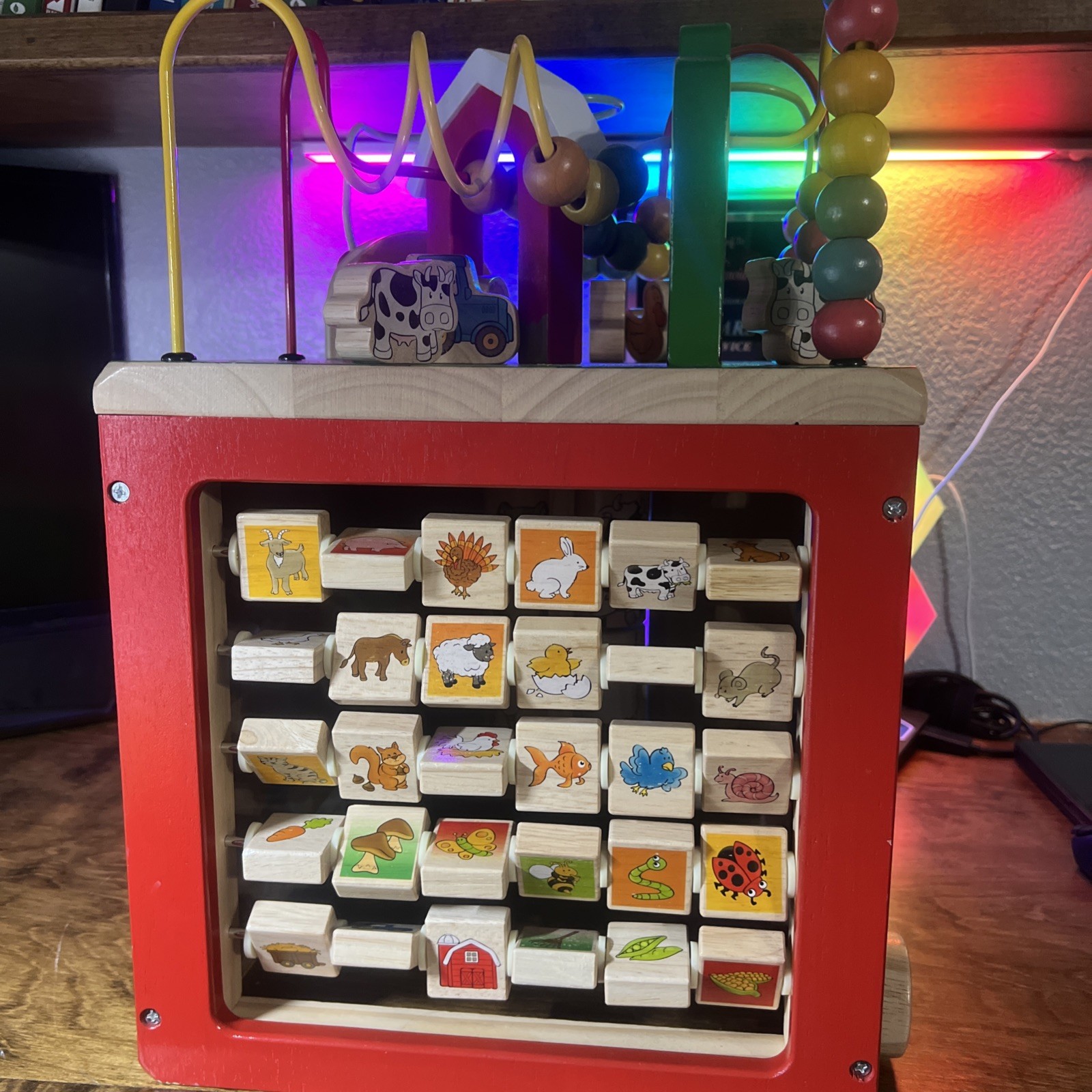 Zaney Zoo Activity Set