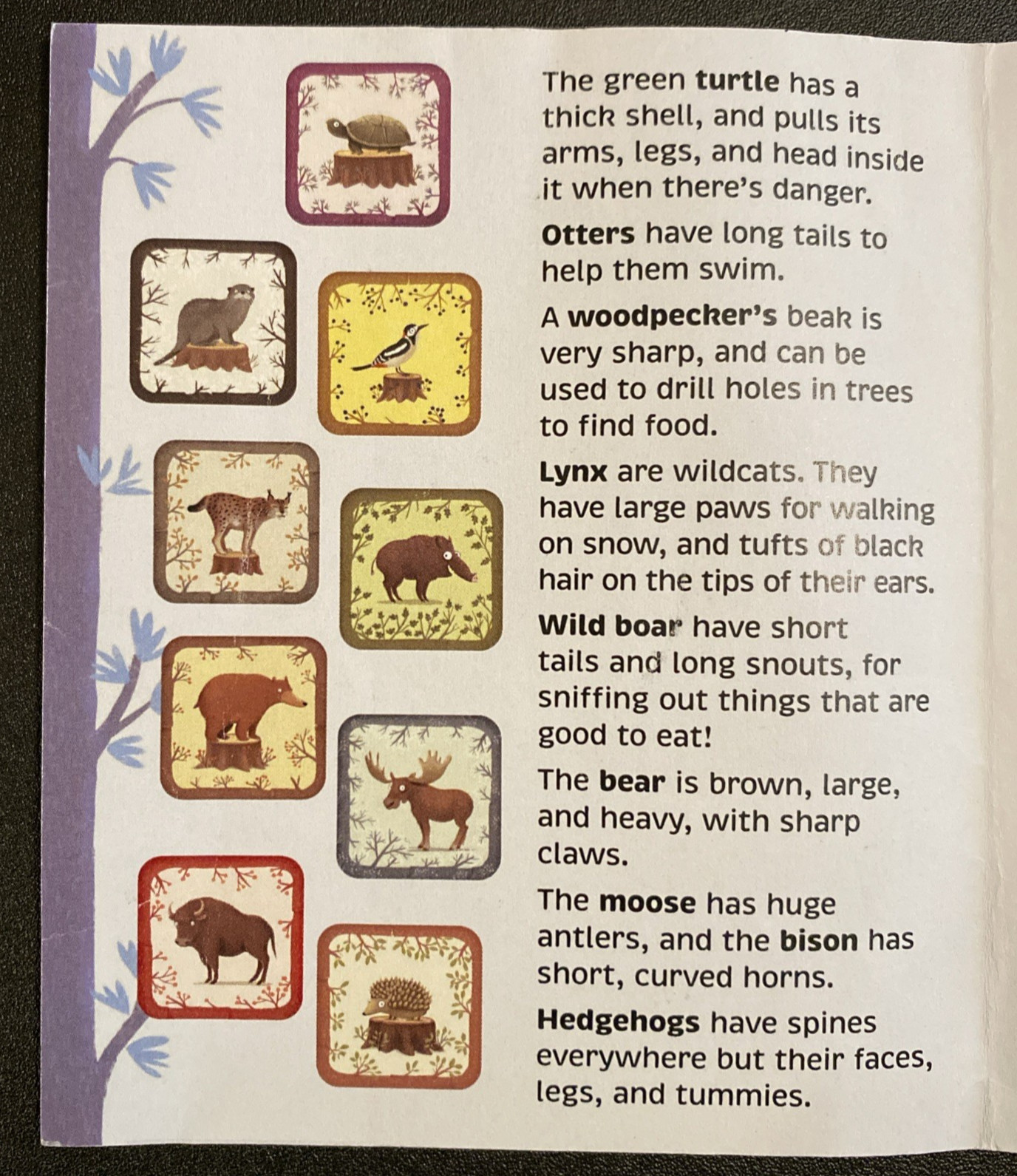 24 piece Memory Game A Year in the Forest by Emilia Dziubak (2023, Game)