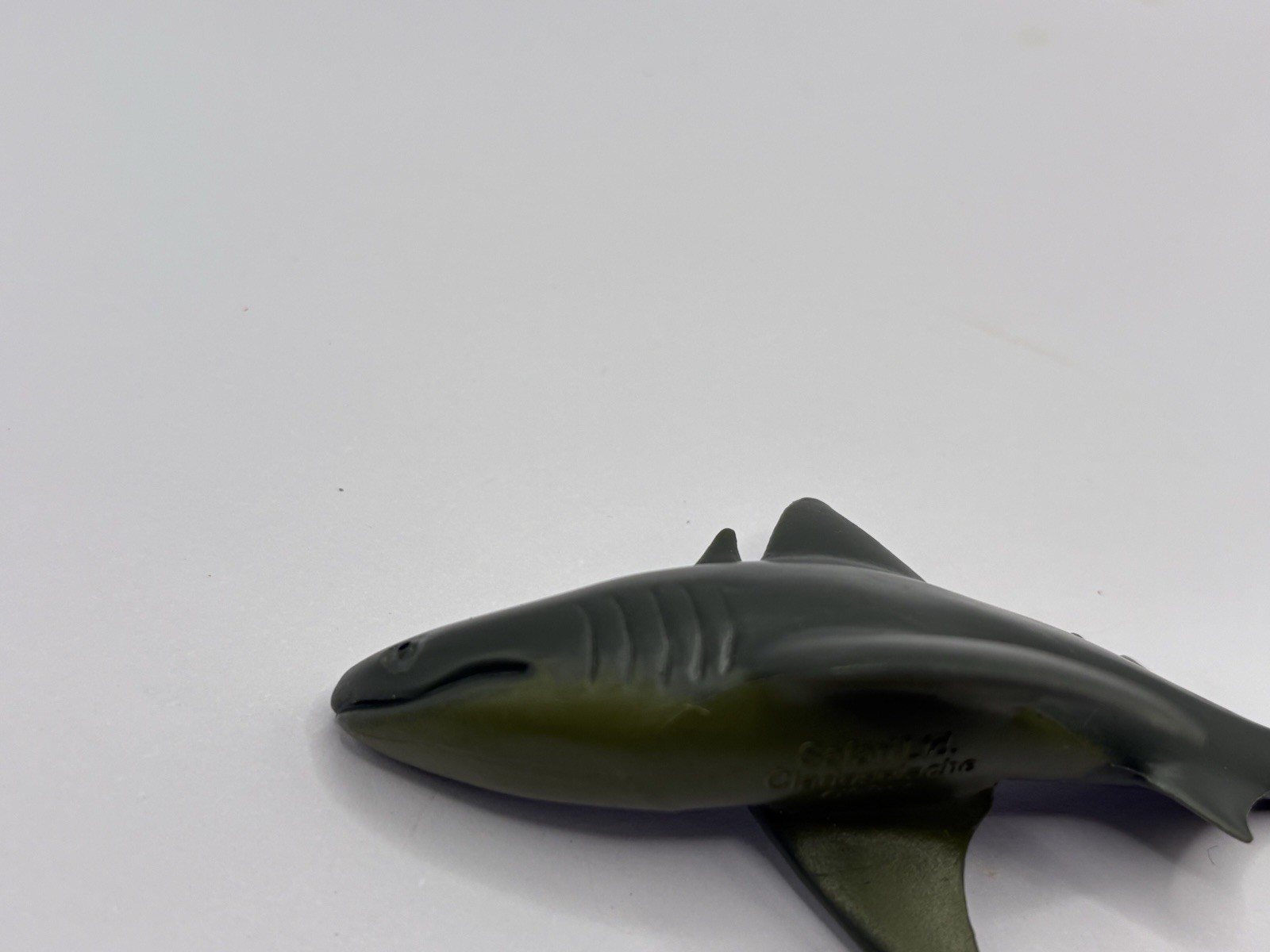 Safari Ltd Extinct Shark Cladoselache PVC Plastic Toy Figure Prehistoric Toob