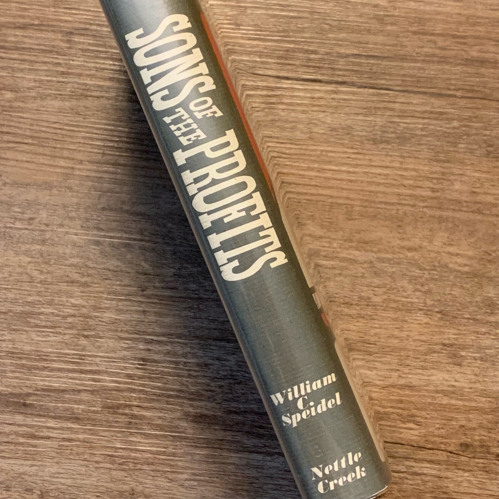 Sons of the Profits by William C. Speidel First Edition 1967 Hardcover Book