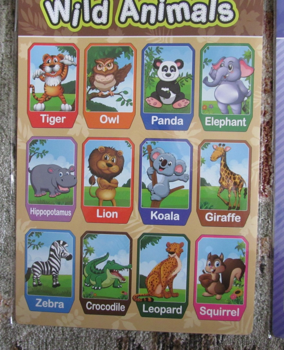 Preschool Educational Learning 11″ x 15.75″ Laminated Poster – Animals + More