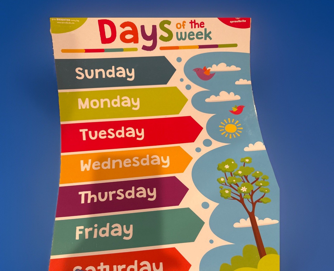 Educational Posters for Preschool Homeschool – Waterproof & Durable