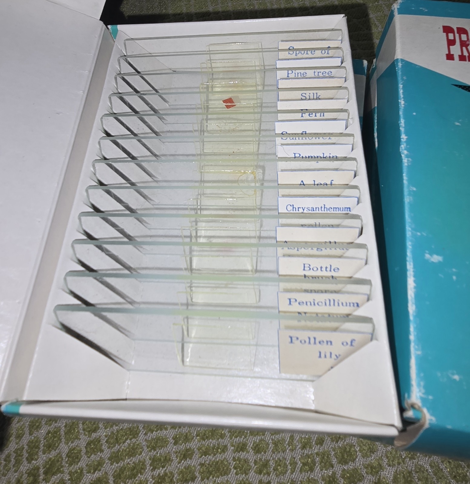 6 Boxes Prepared Microscope Slides, 12 Slides per box, Specimen’s Vintage 1960’s