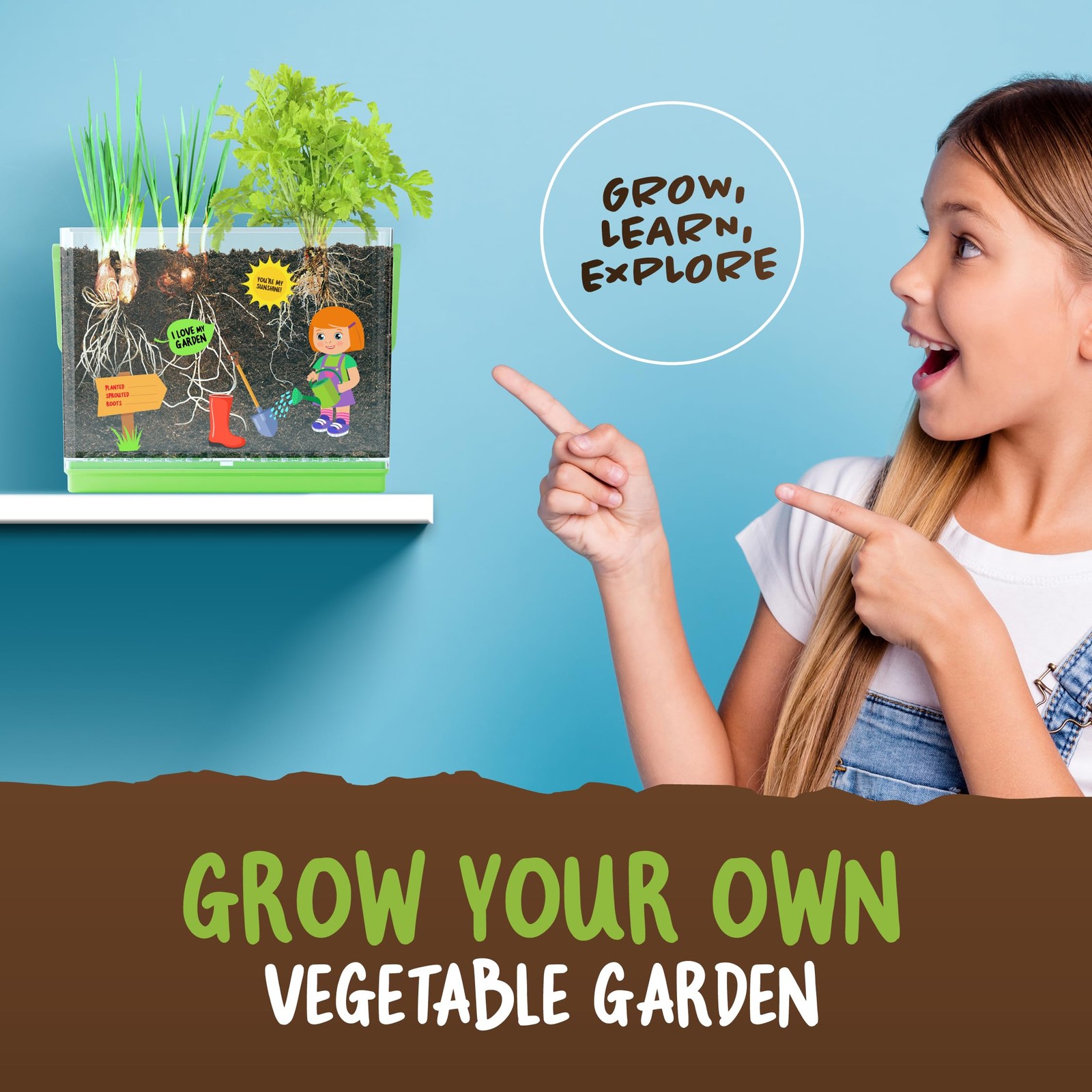 Dan&Darci Root Viewer Kit for Kids – Grow 7.5 x 2 x 5.5 inches, Multicolred
