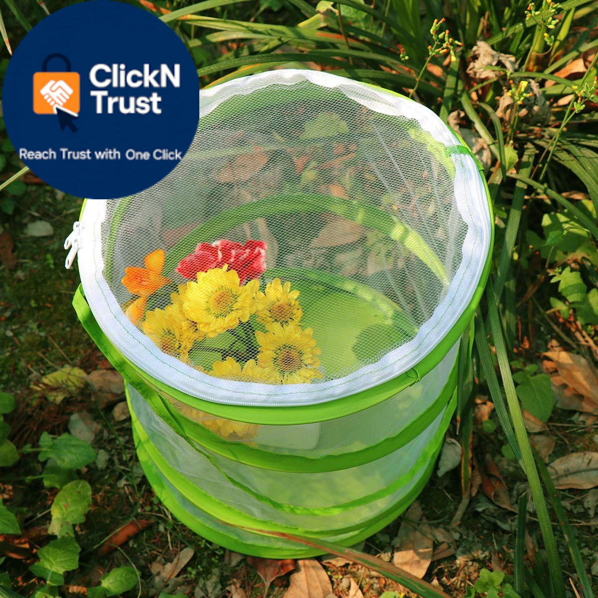 RESTCLOUD Pop-up Insect and Butterfly Habitat 9.0″L x 9.0″W x 11.0″H, Clear
