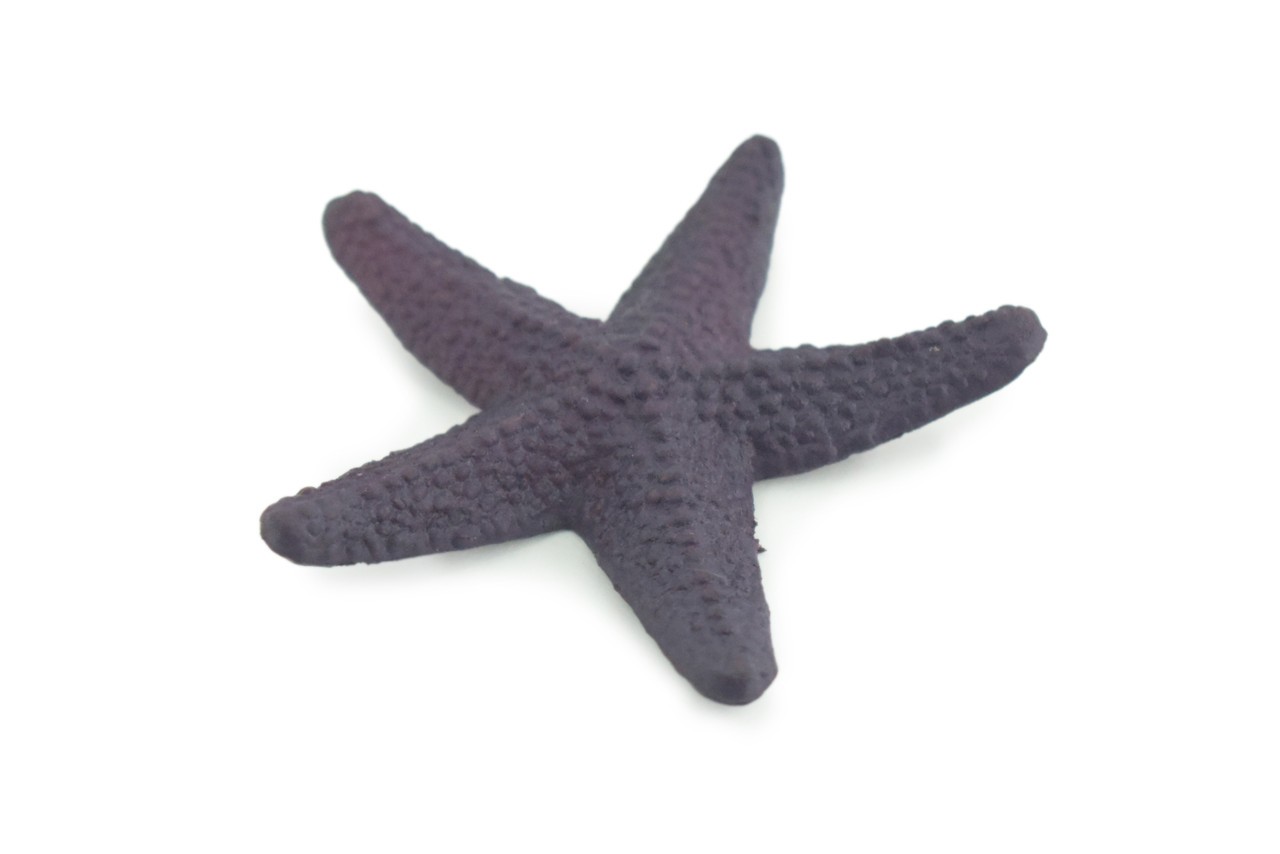 Toy Starfish, Purple, Sea Star, Realistic, Model, Gift, 2 1/2 Inches CWG49 B197