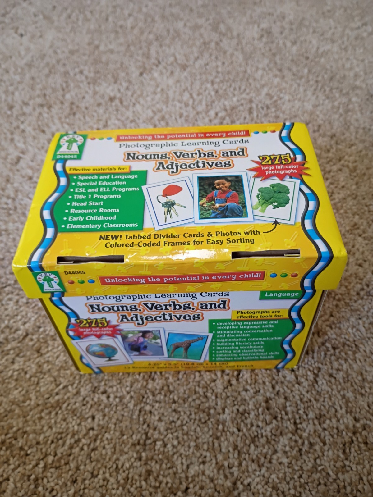 PHOTOGRAPHIC Learning Cards 275 Nouns Verbs Adjectives, ESL, Speech Therapy, +