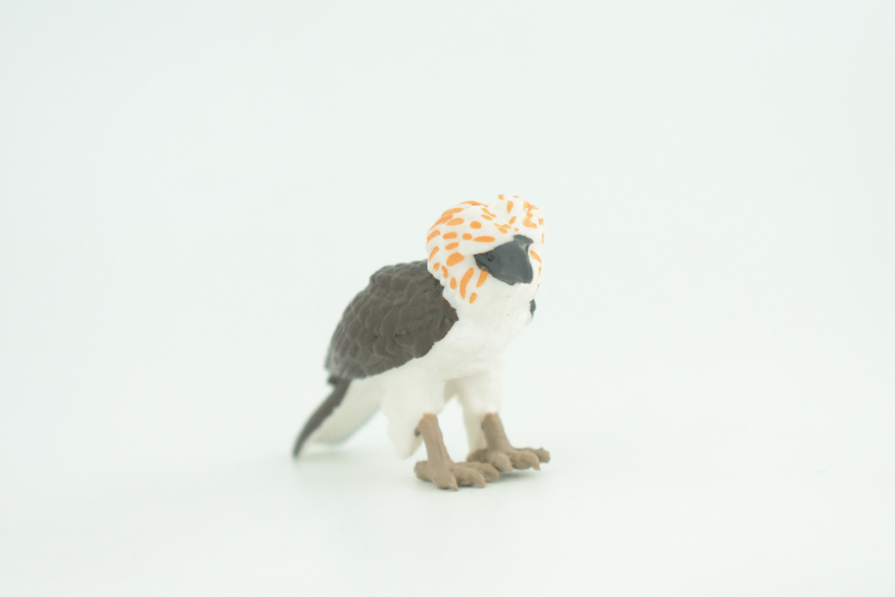 Philippine Eagle, Monkey Eagle Toy, Realistic Painted Rubber 2.5″ CH926 BB204