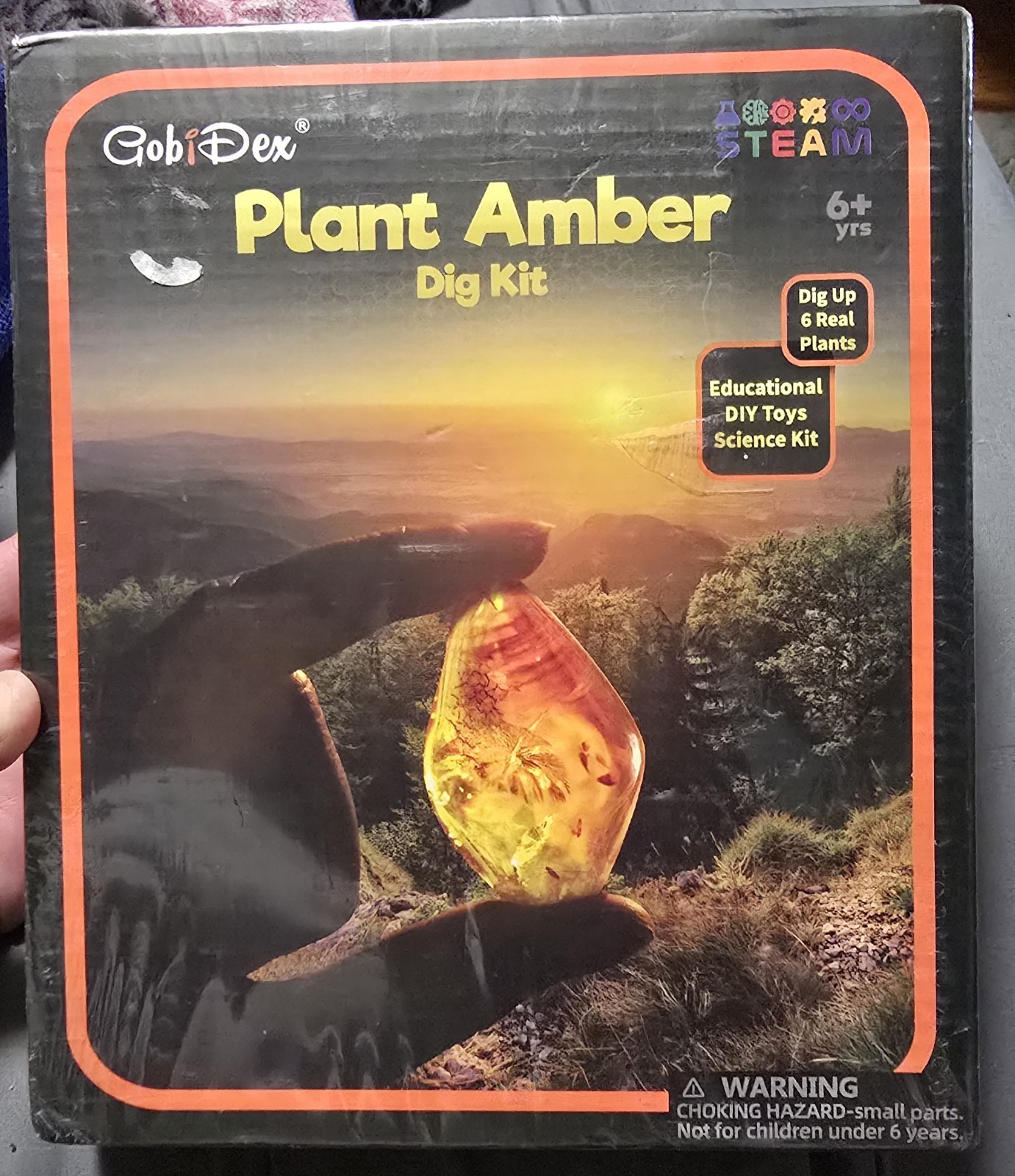 GobiDex Plant Amber Dig Kit, Dig Up 6 Real Plants. New In Box. Age 6+