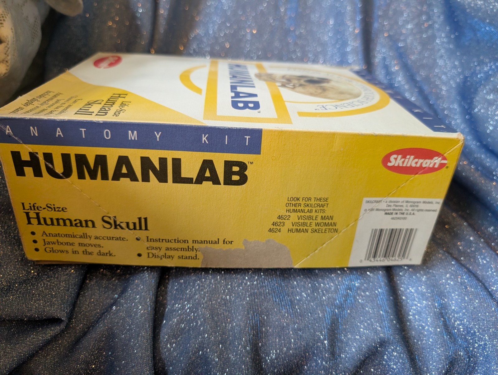 1993 Vintage Skilcraft Life-Size Human Skull Anatomy Kit