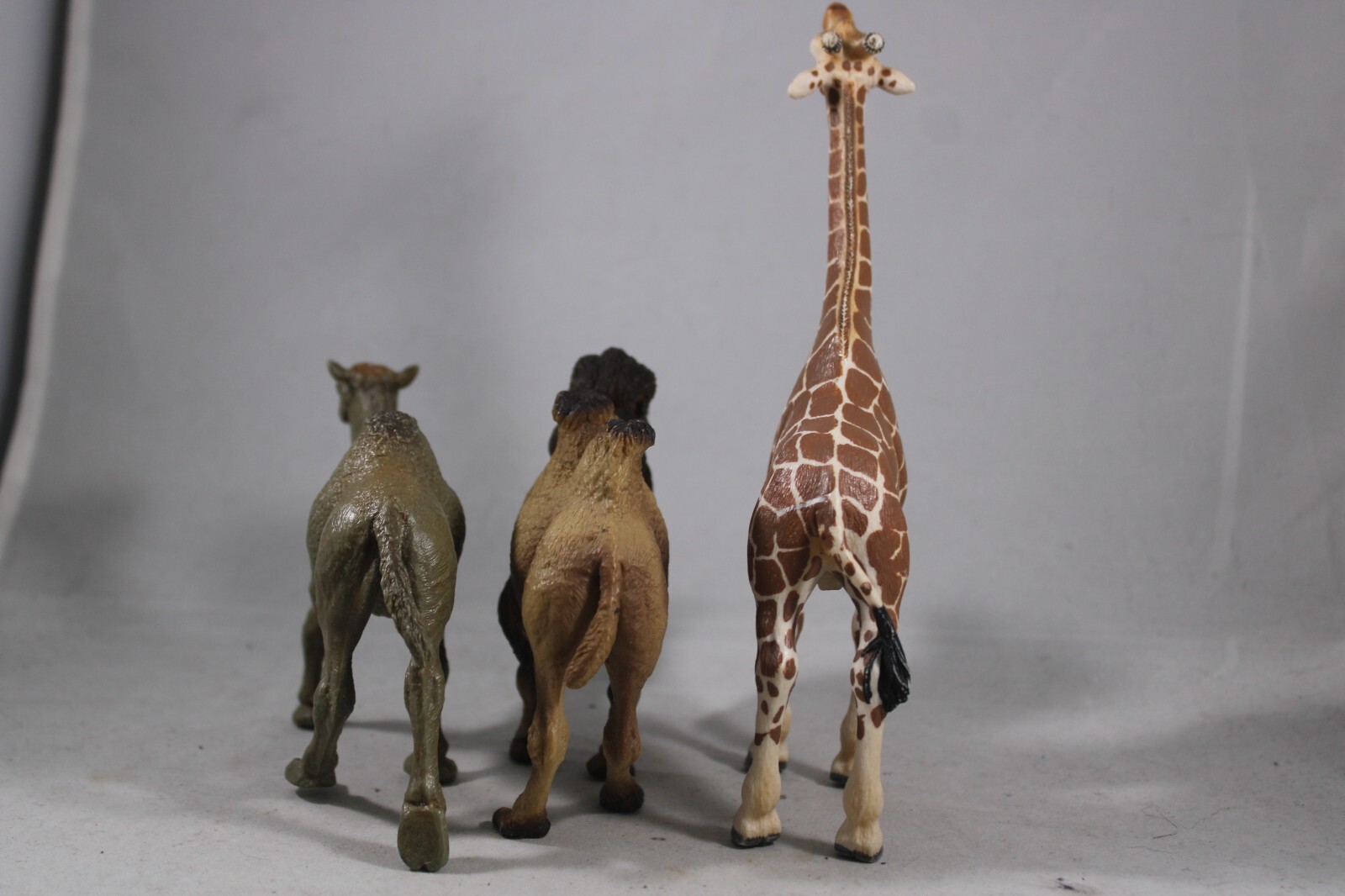 DROMEDARY Bactrain CAMEL Animal Figurine Safari Ltd. toy Figure Giraffe