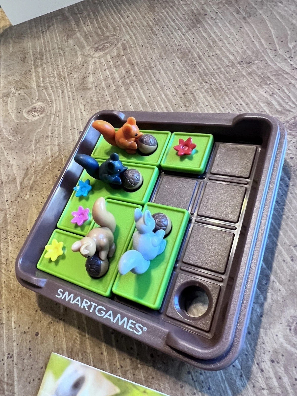 Smart Games Squirrels Go Nuts Critical Thinking Puzzle Game For Kids